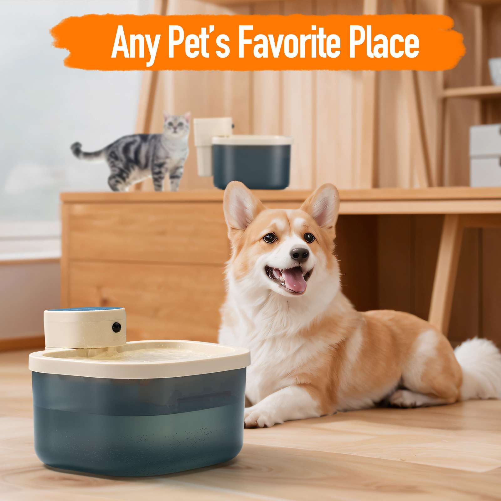 Ein Corgi liegt in der Nähe eines Haustier-Wasserbrunnens. Eine Katze befindet sich auf einem Holzregal. Der Text lautet 'Any Pet's Favorite Place'.