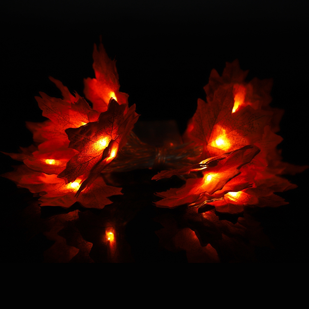 Beleuchtete Ahornblatt-Lichterkette. Orange Blätter mit gelben Lichtern auf schwarzem Hintergrund. Reflexion sichtbar.