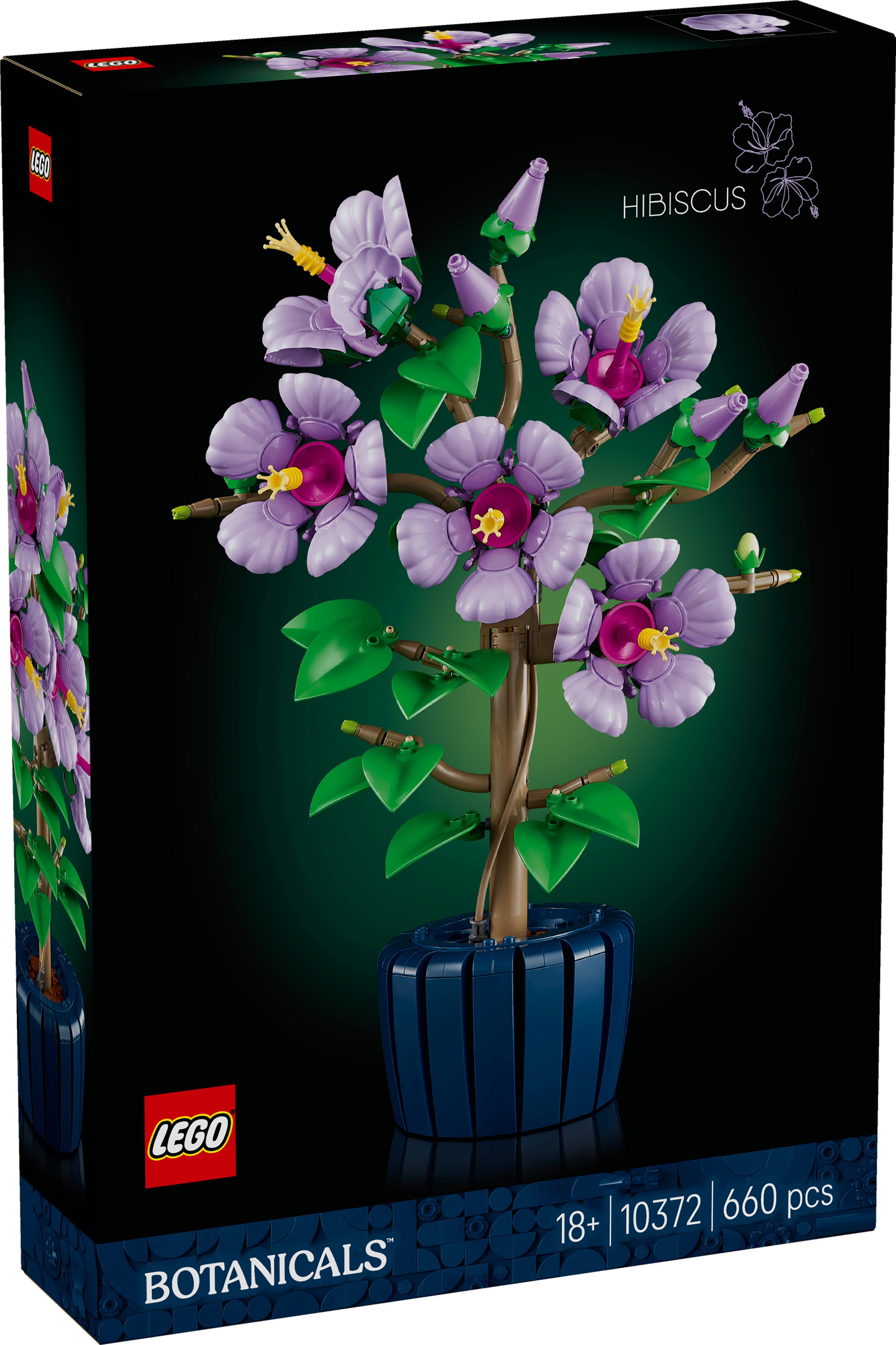 Bir LEGO kutusu, yapılmış bir hibiskus bitkisini sergiliyor. Bitkinin mor çiçekleri, yeşil yaprakları ve kahverengi bir gövdesi var. Saksı mavi.