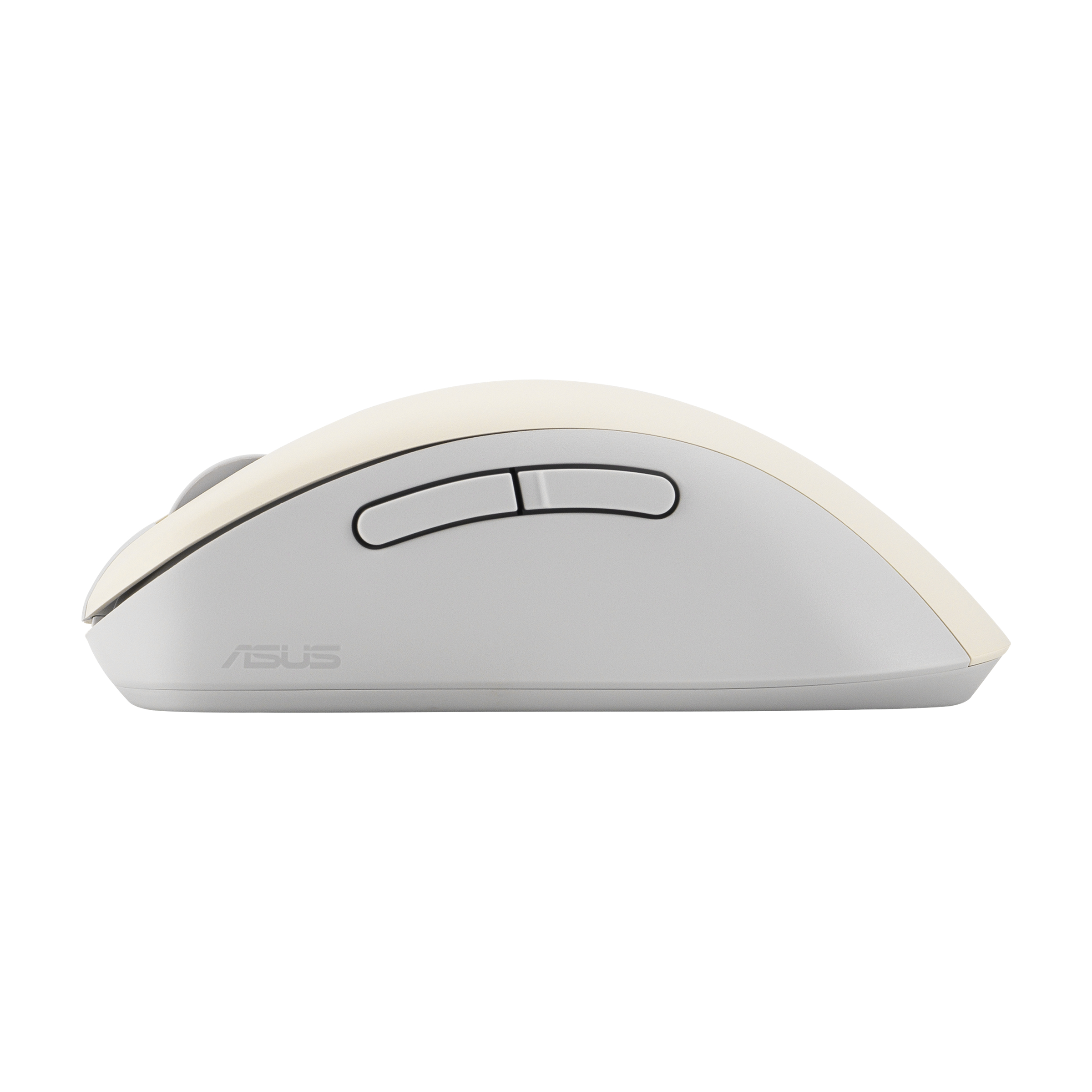 Un mouse per computer, grigio chiaro con parte superiore color crema, con due pulsanti e il logo ASUS, su sfondo bianco.