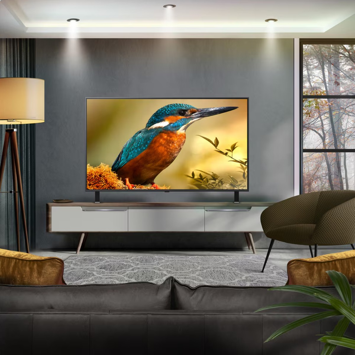 Salon z telewizorem pokazującym zimorodka. W pokoju lampa, krzesło i sofa. Okno pokazuje drzewa.