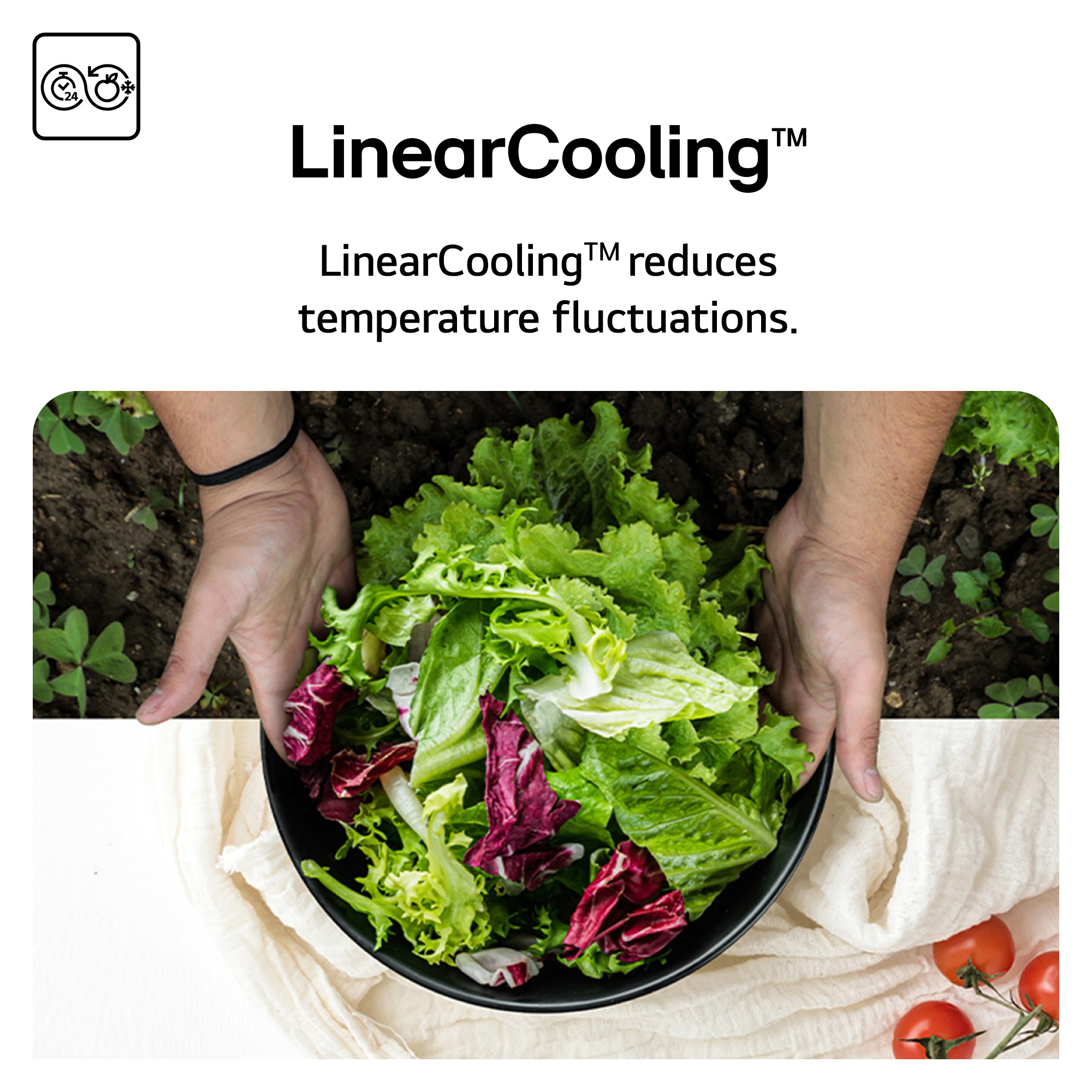 Mani che tengono una ciotola di insalata fresca con pomodori. Testo: LinearCooling riduce le fluttuazioni di temperatura.