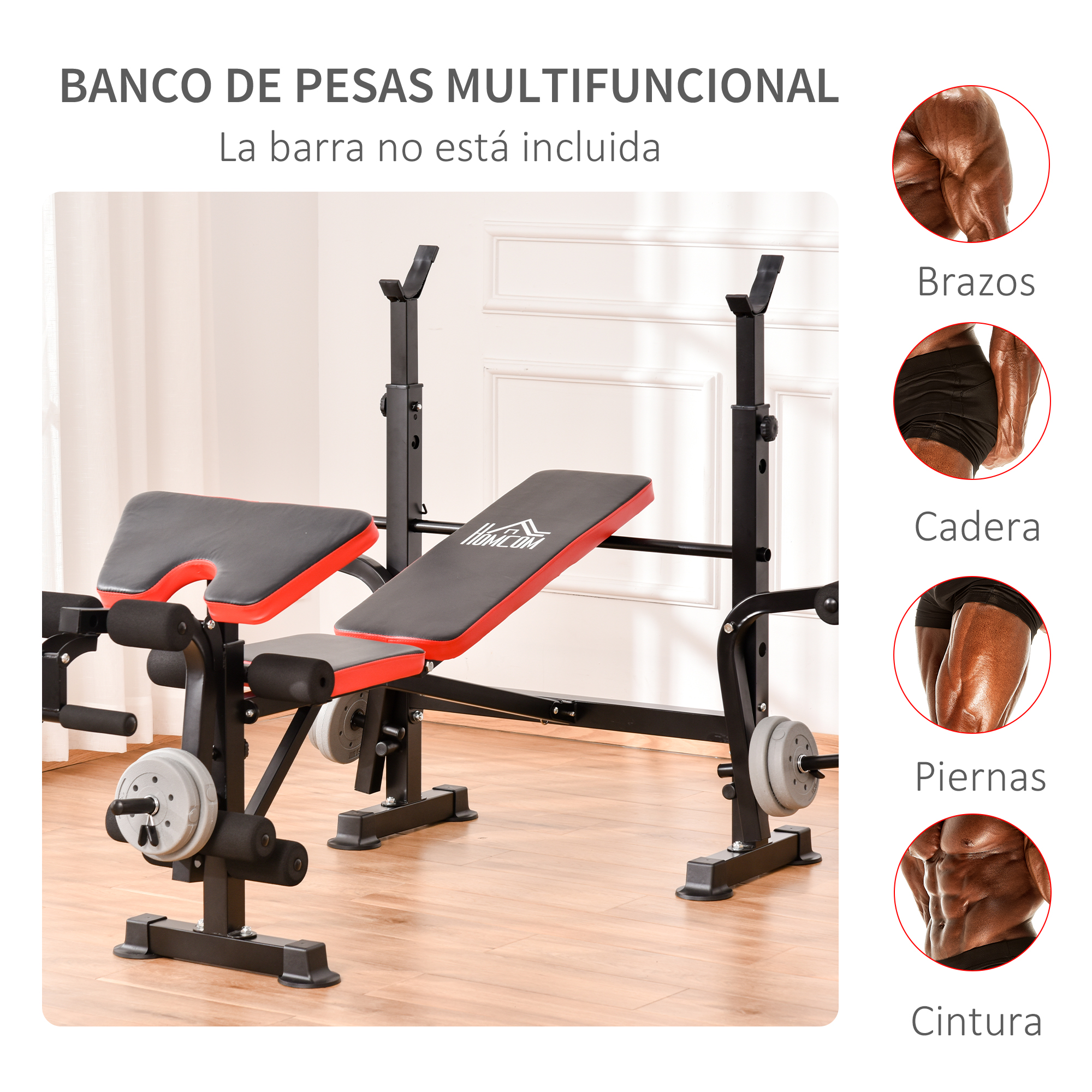 Un banco de pesas negro y rojo con pesas, para hacer ejercicio. Imágenes laterales muestran grupos musculares.