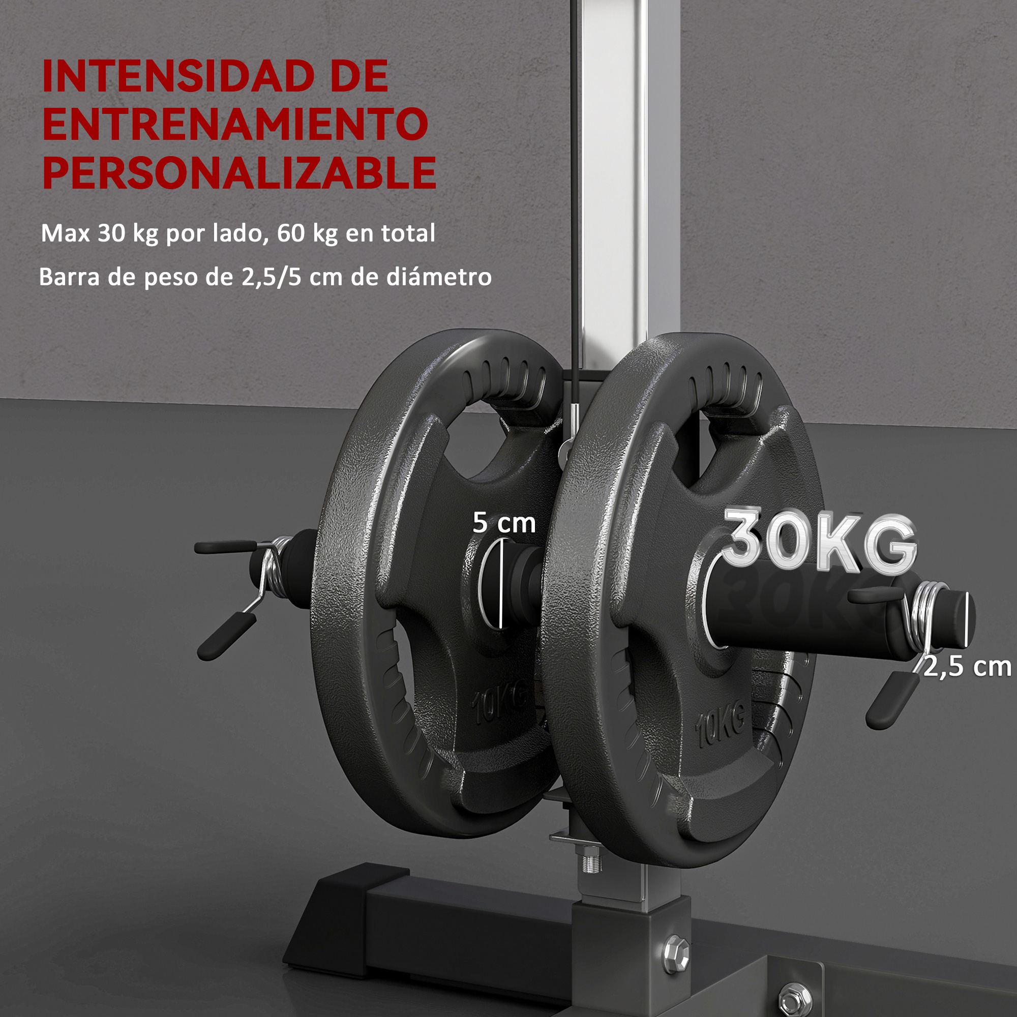 Una máquina de levantamiento de pesas con dos discos negros de 30 kg. La imagen muestra el tamaño del disco y el diámetro de la barra.