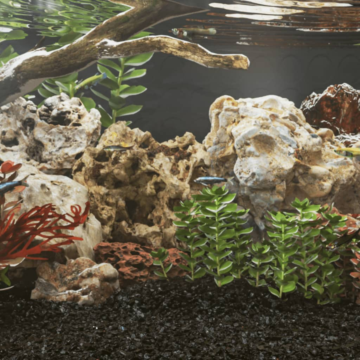 Una scena di acquario con pesci, rocce, piante e un ramo di albero sommerso. Il fondo è ghiaia scura. L'acqua riflette.