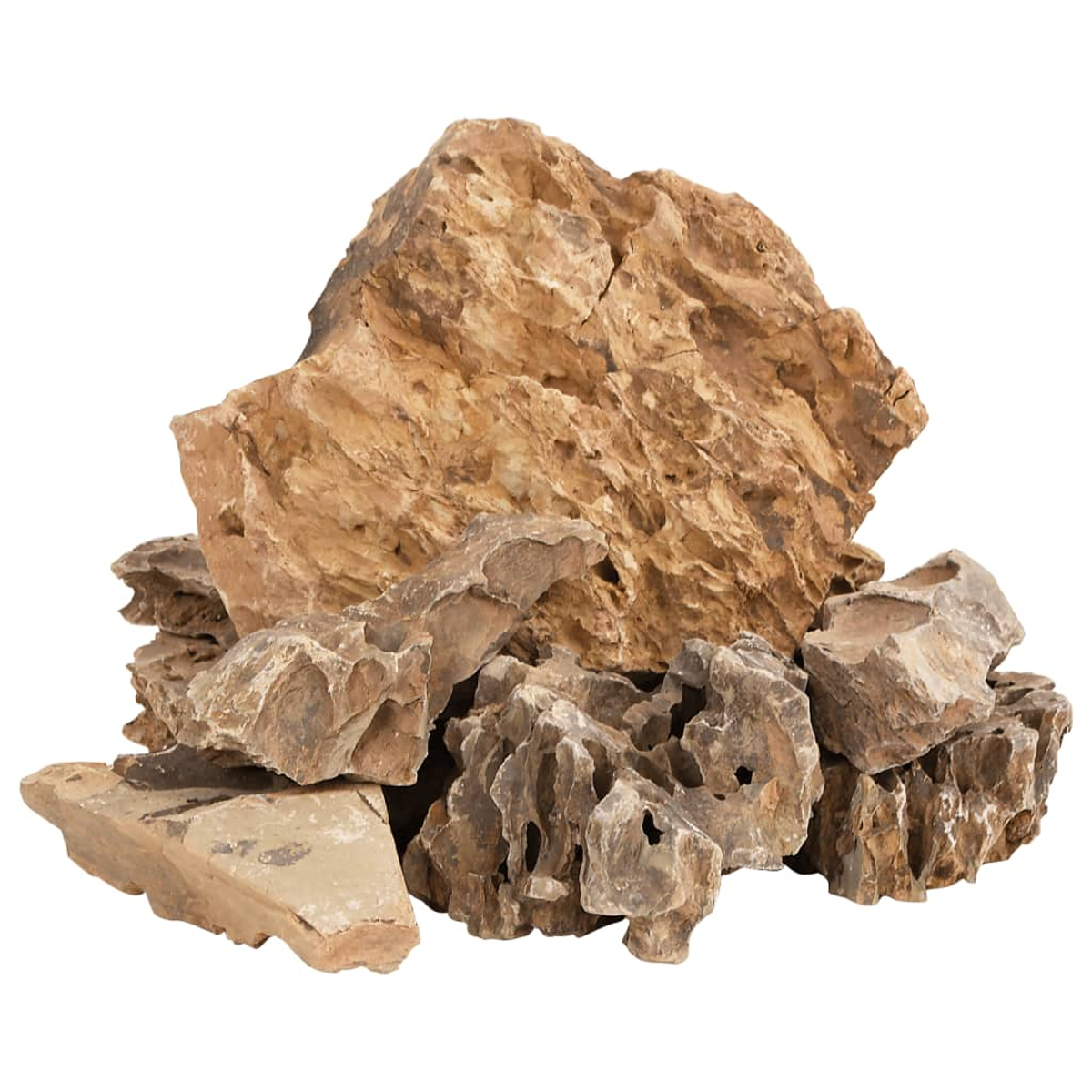 Un mucchio di rocce marroni e strutturate di varie dimensioni, alcune con fori. Lo sfondo è bianco.