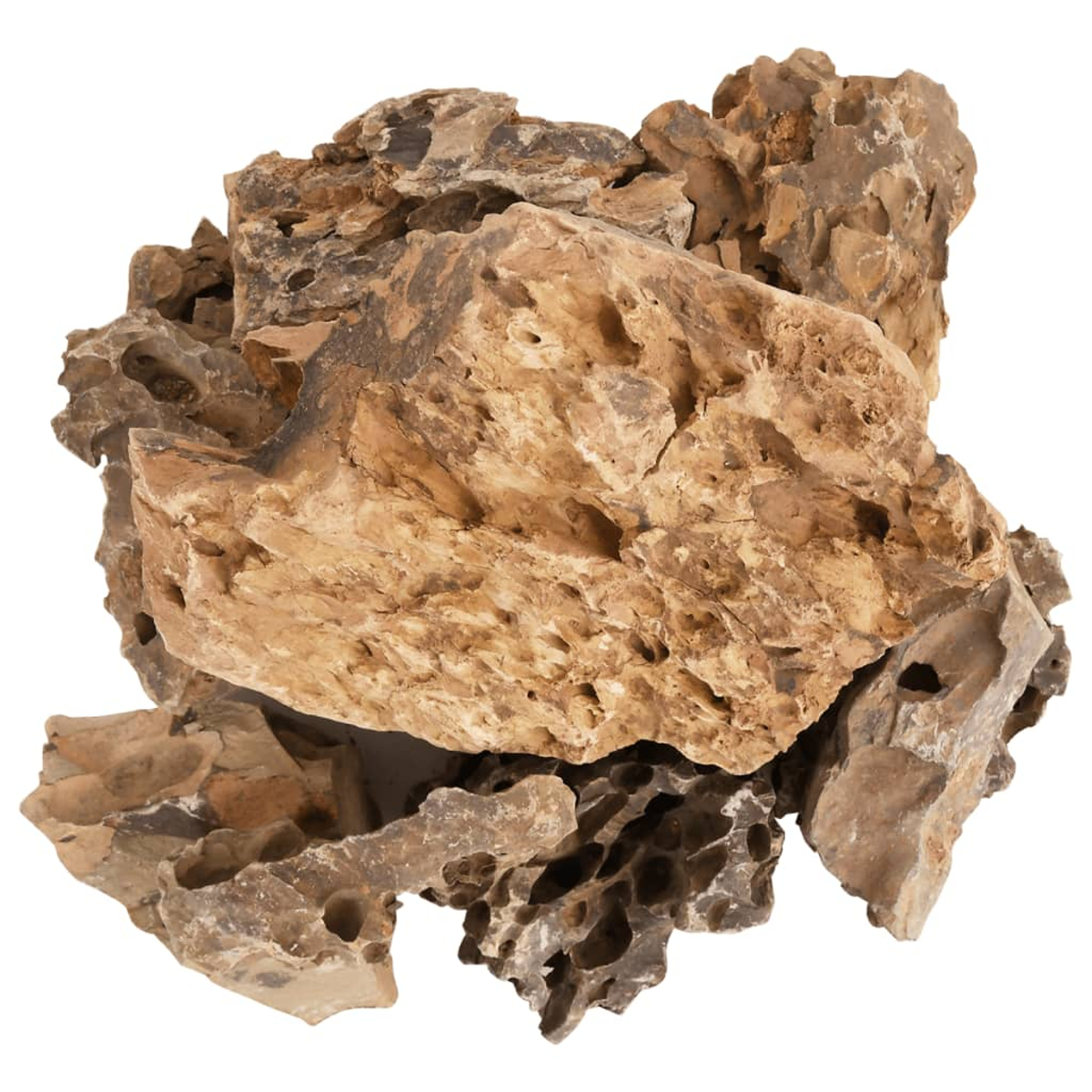 Primo piano di più rocce strutturate. Hanno fori e varie sfumature di marrone e grigio. Sfondo bianco.