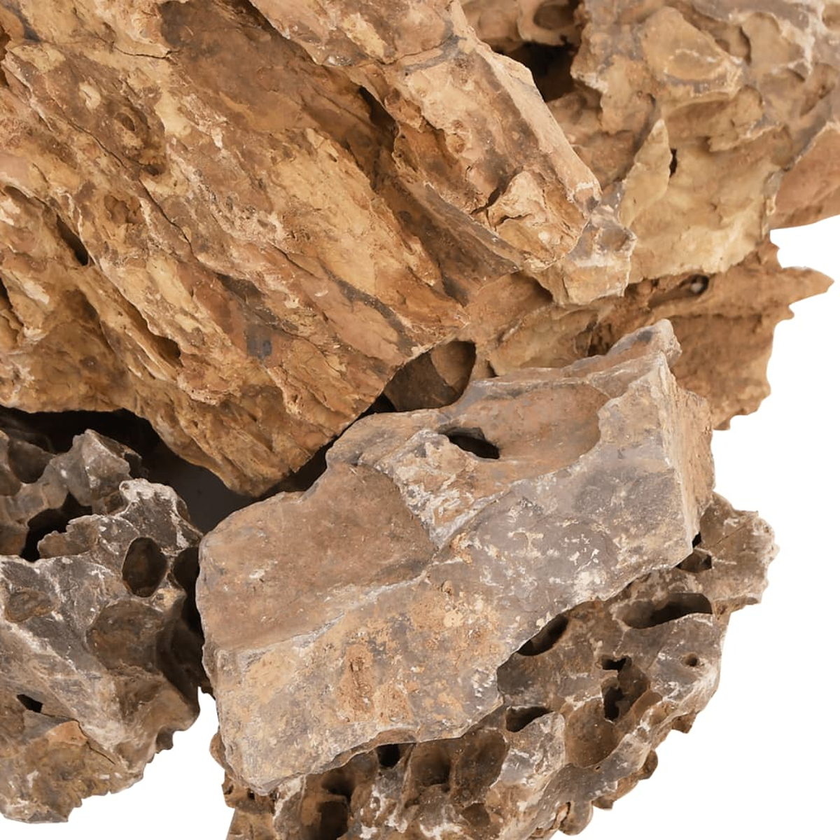 Primo piano di varie rocce marroni e grigie strutturate. Alcune rocce hanno dei fori e lo sfondo è bianco.