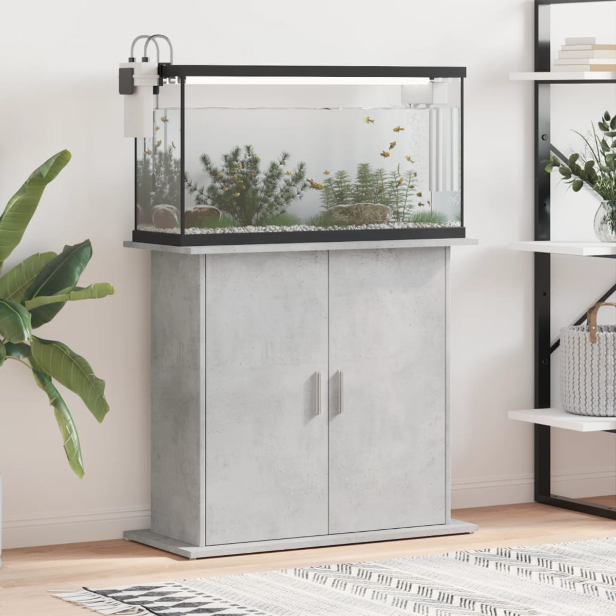 Ein Aquarium steht auf einem Schrank mit Türen. Innen Pflanzen und Fische. Ein Regal mit Pflanzen und ein Teppich sind sichtbar.