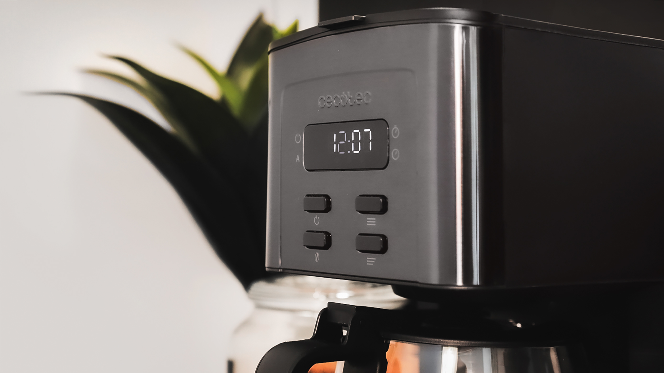 Czarny ekspres do kawy z cyfrowym zegarem wskazującym 12:07. Zielona roślina w tle. Przyciski pod zegarem.