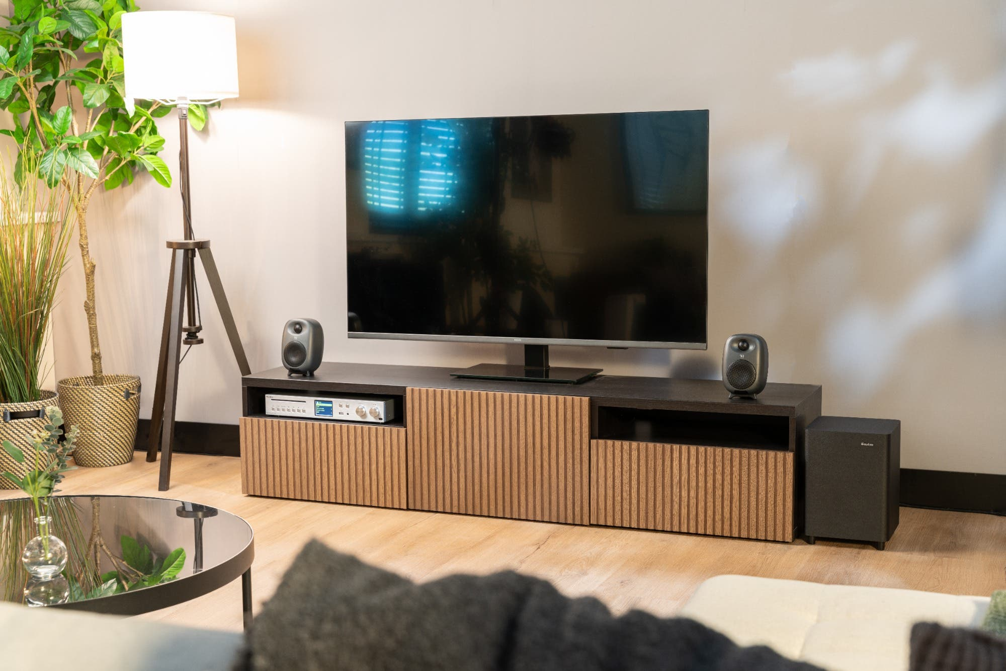 Wohnzimmer mit Fernseher auf dunklem Holzschrank, Lautsprechern, Stehlampe, Pflanzen und Couchtisch.