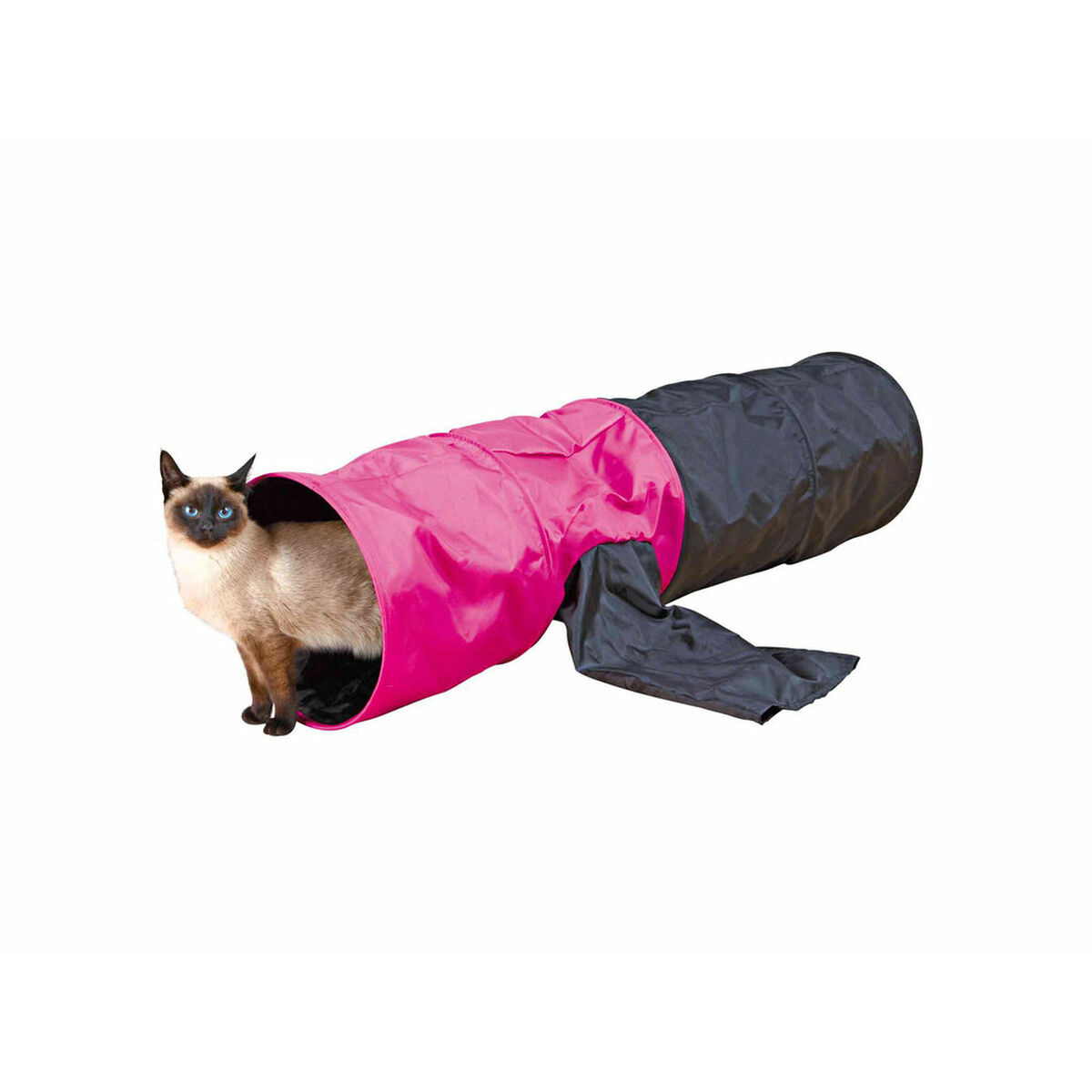 Un gato siamés asoma por un túnel para gatos rosa y negro. El gato tiene ojos azules. El túnel está sobre un fondo blanco.