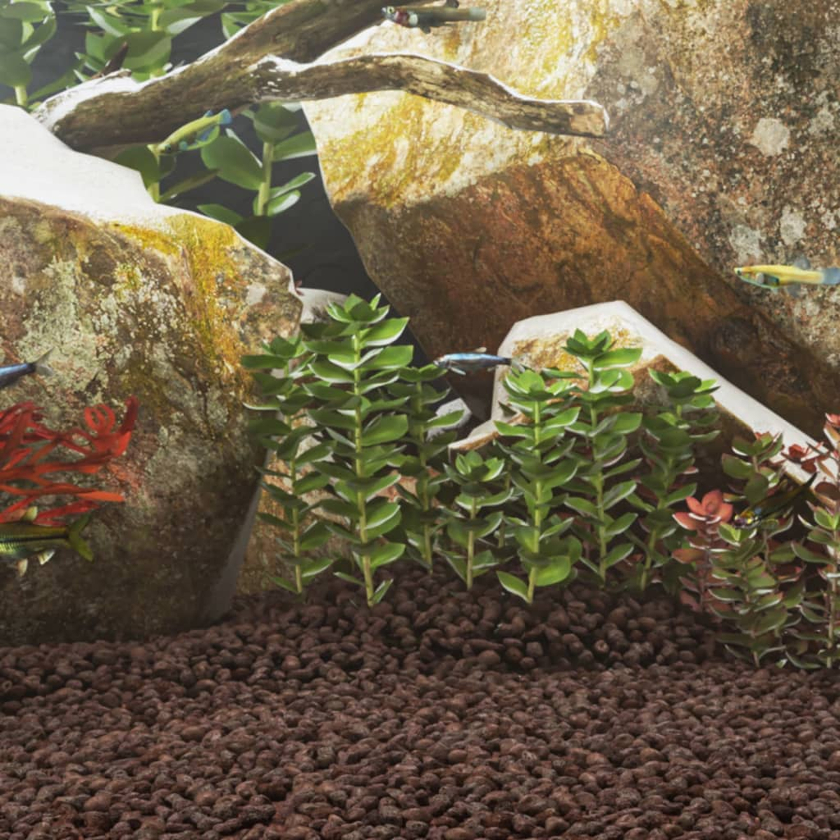 Scena di acquario con rocce, piante verdi e rosse e piccoli pesci che nuotano. Il fondo è coperto da piccoli ciottoli marroni.