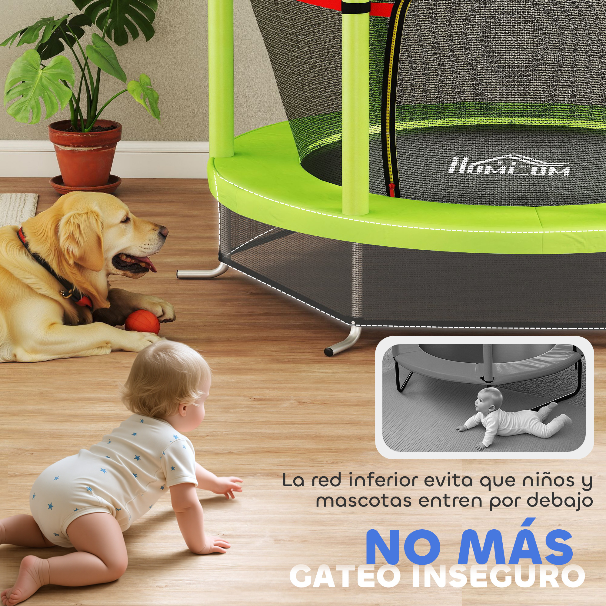 Un bebé gatea hacia un trampolín. Un perro descansa cerca del bebé. Una planta está a la izquierda. El trampolín está al fondo.