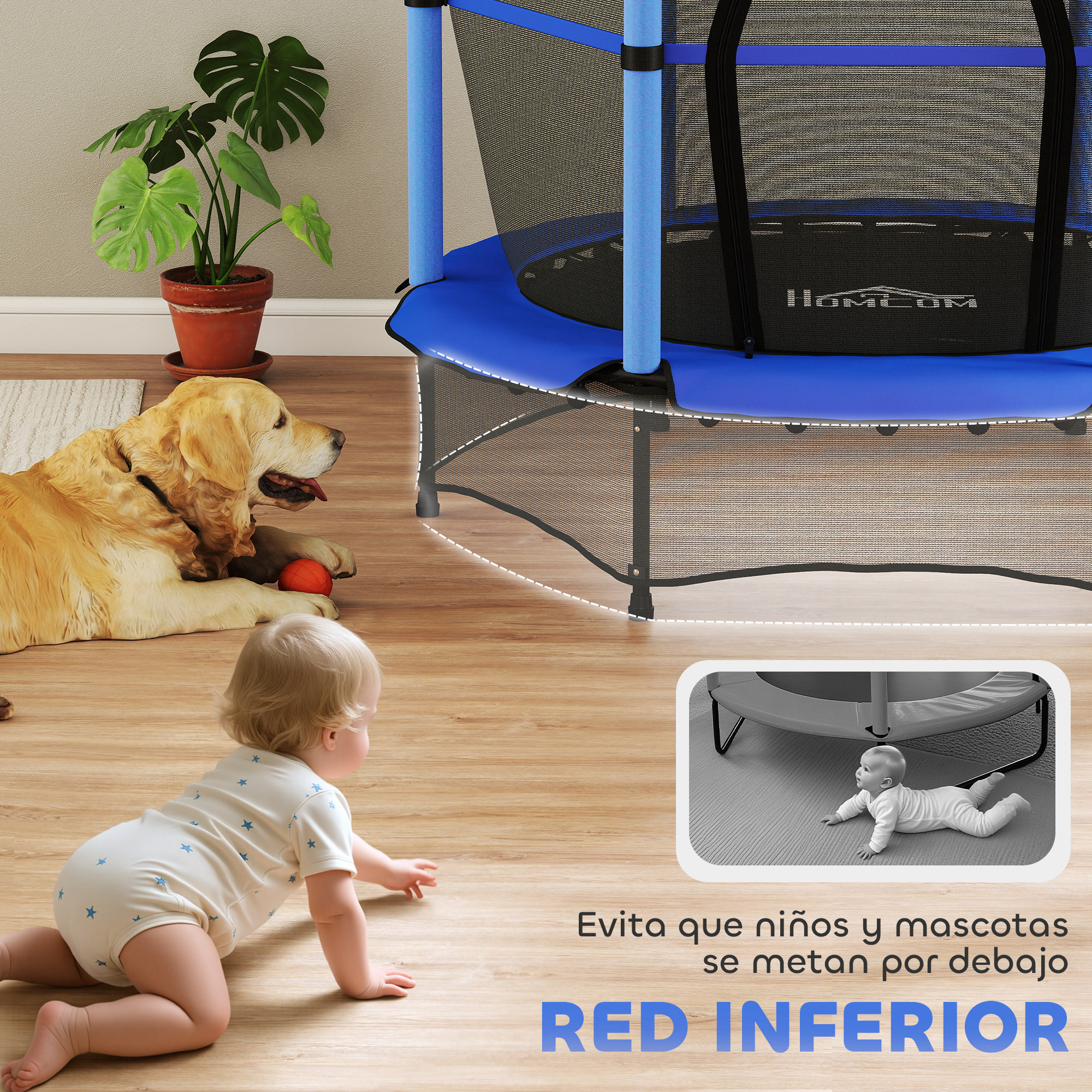 Un bebé gatea cerca de un perro y un trampolín. A la izquierda hay una planta. El bebé lleva un body.