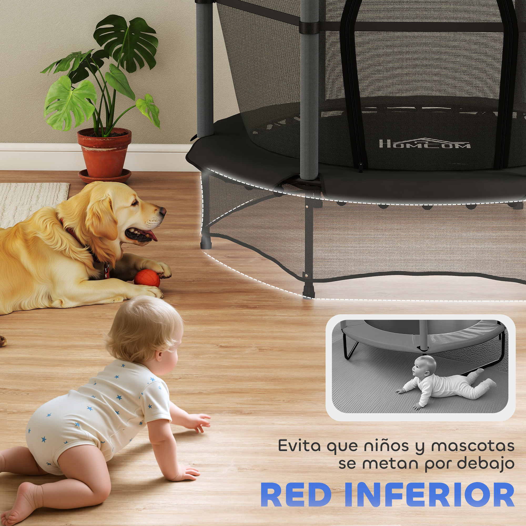 Un golden retriever y un bebé gatean en el suelo. Un trampolín y una planta están en el fondo.