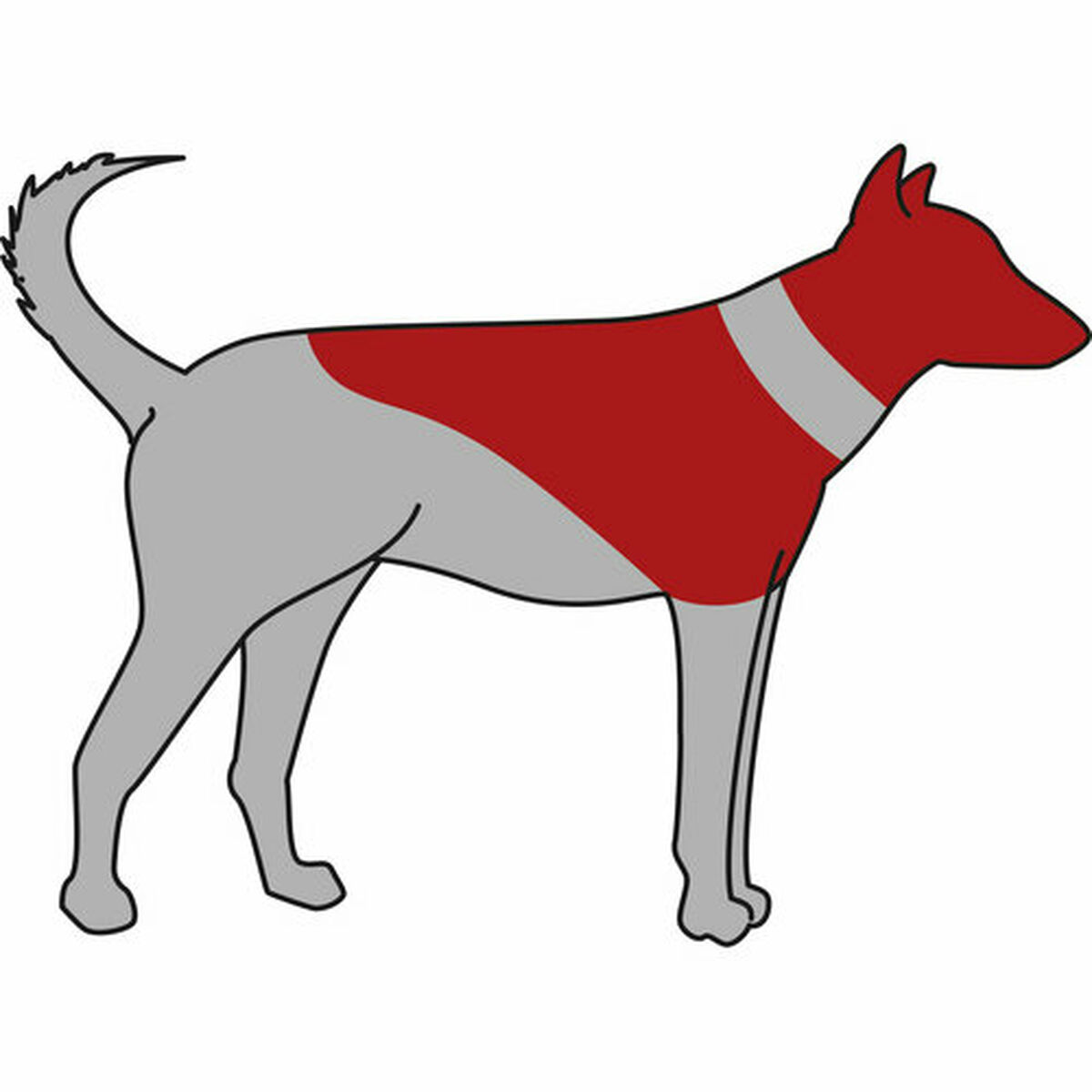 Illustrazione di un cane vista di lato. Il cane è principalmente grigio, con una macchia rossa sulla schiena e sulla testa. Una fascia grigia intorno al collo.