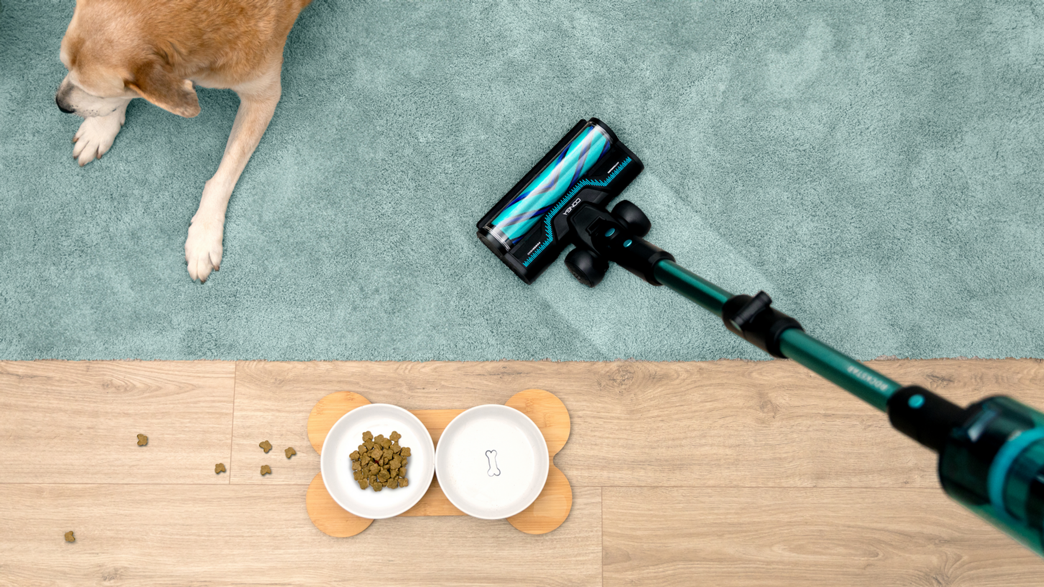 Un cane su un tappeto blu. Un aspirapolvere pulisce il tappeto. Ciotole per cani accanto al cane. Pavimento in legno.
