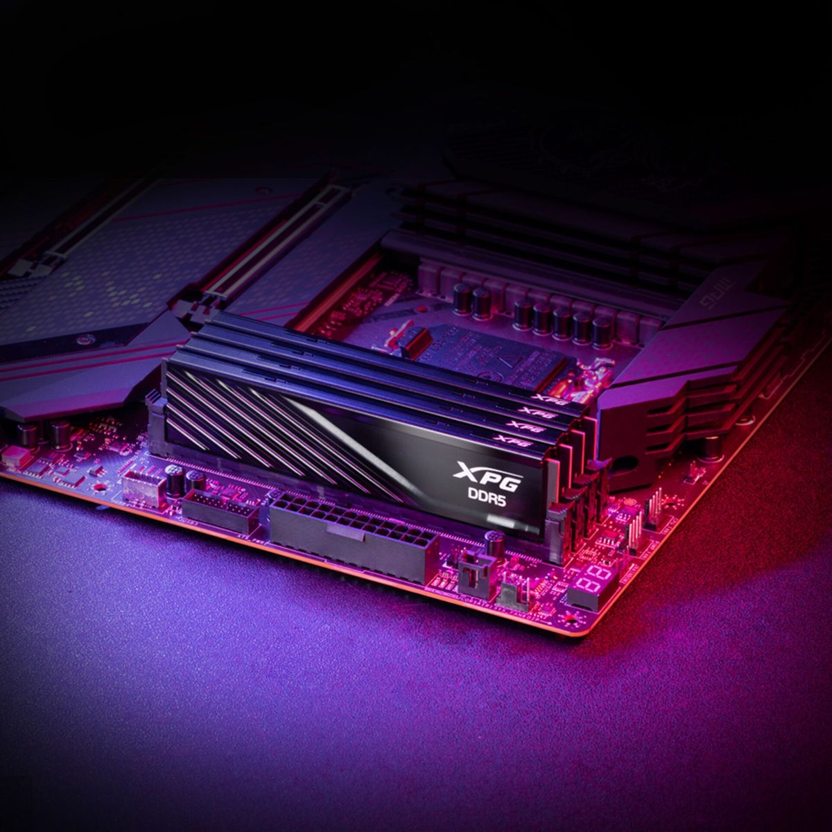 Una scheda madre per computer con un modulo RAM XPG DDR5 installato. È illuminata da luci rosse e viola. Lo sfondo è scuro.