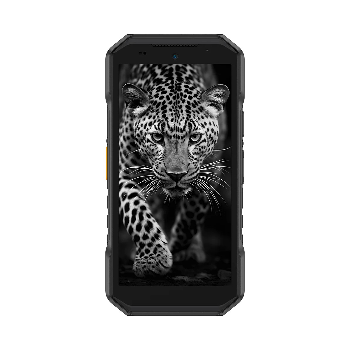 Ein Smartphone zeigt ein Schwarz-Weiß-Bild eines Leoparden, der auf den Betrachter zugeht, vor dunklem Hintergrund.