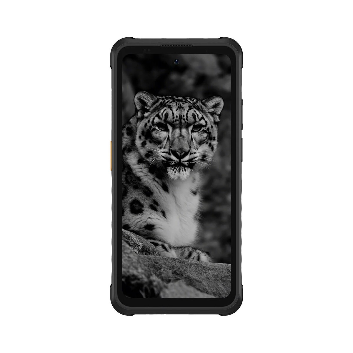Ein Smartphone zeigt ein Schwarzweißbild eines Schneeleoparden. Das Telefon hat einen schwarzen Rand. Der Leopard sitzt auf einem Felsen.