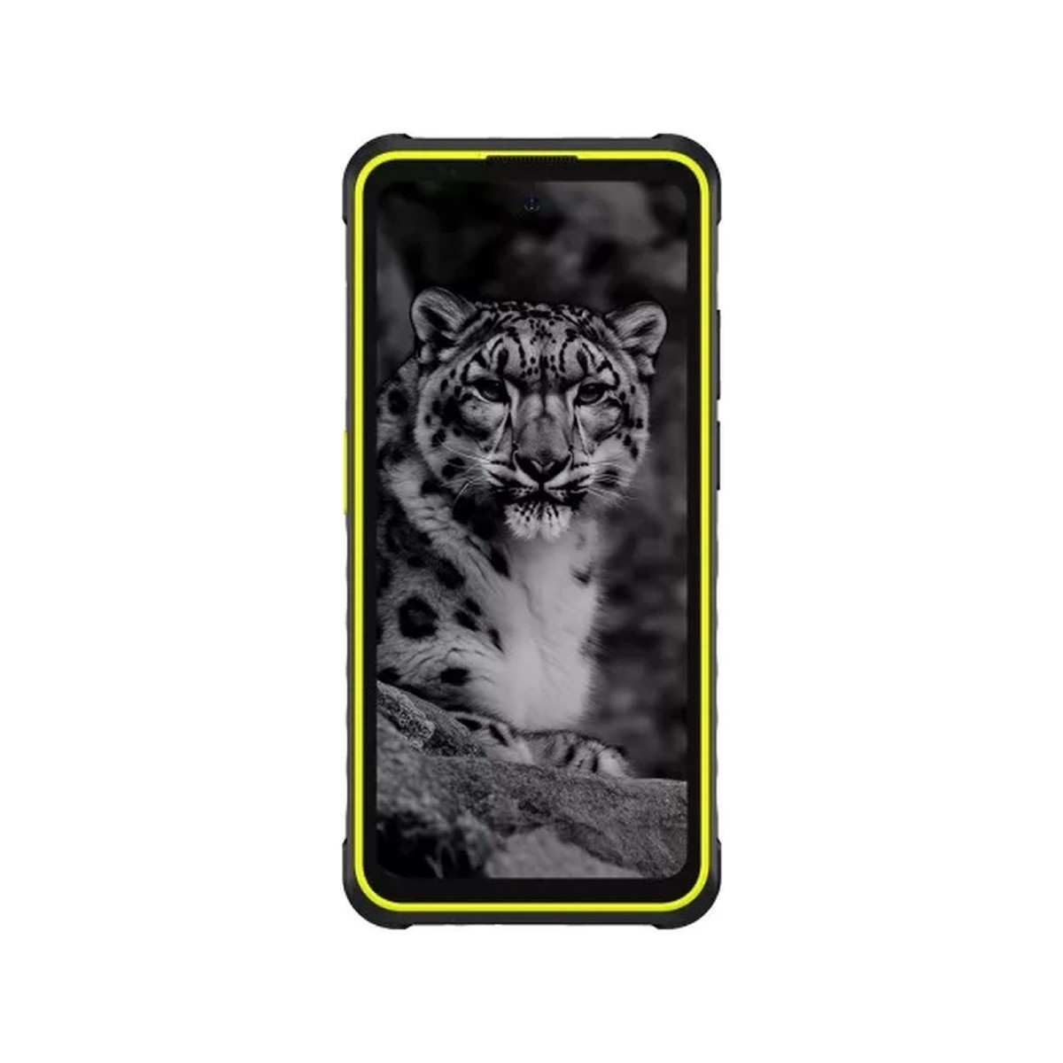 Auf einem Telefon wird ein Graustufenbild eines Schneeleoparden auf einem Felsen angezeigt. Das Telefon hat eine schwarze Hülle mit gelber Umrandung.