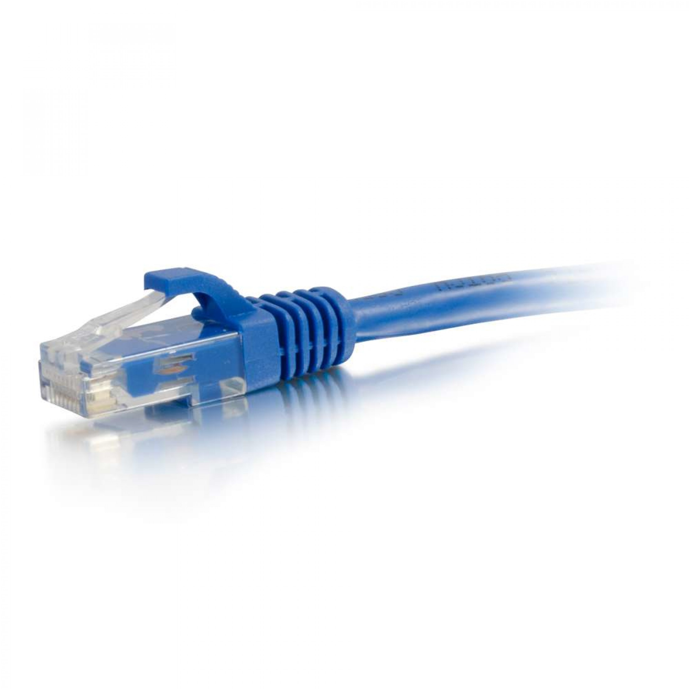 Un cavo Ethernet blu su sfondo bianco. Il connettore è trasparente e blu.