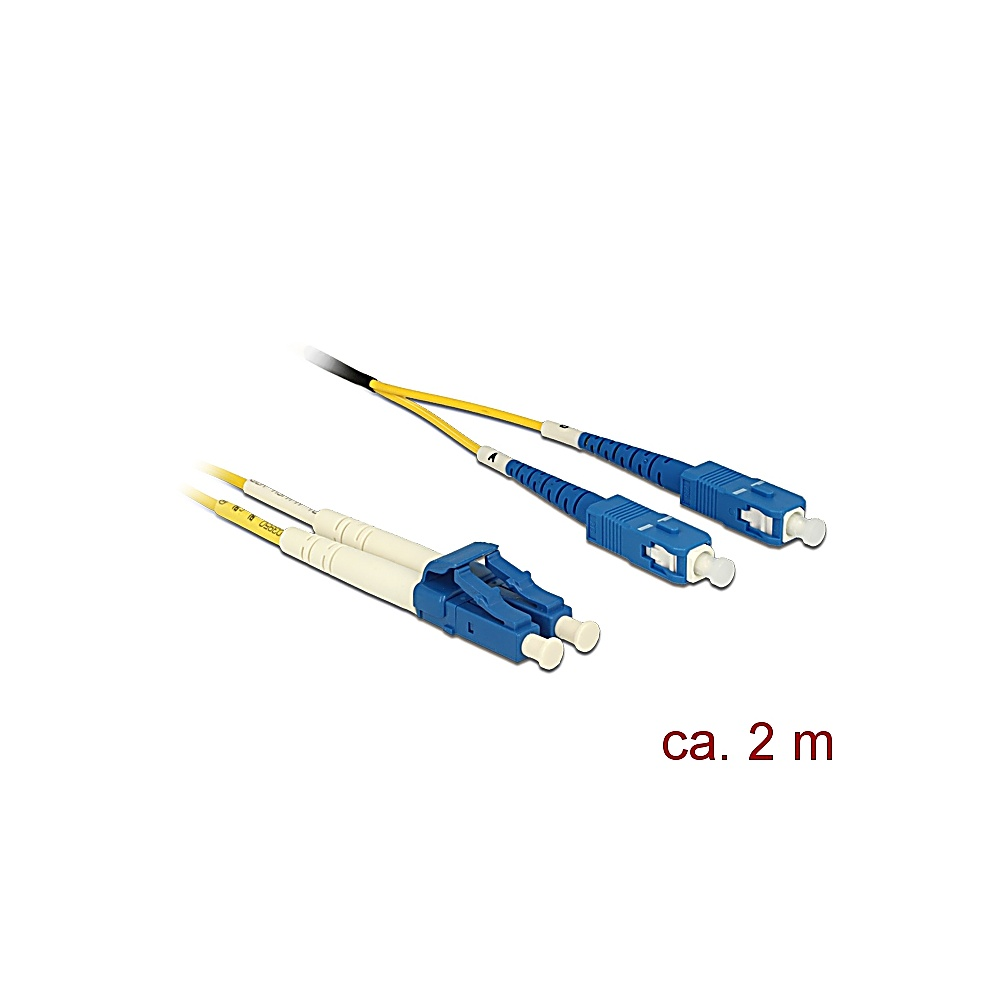 Cavi in fibra ottica con connettori blu e bianchi. Sono visibili due cavi, con la scritta 'ca. 2 m' in basso a destra.