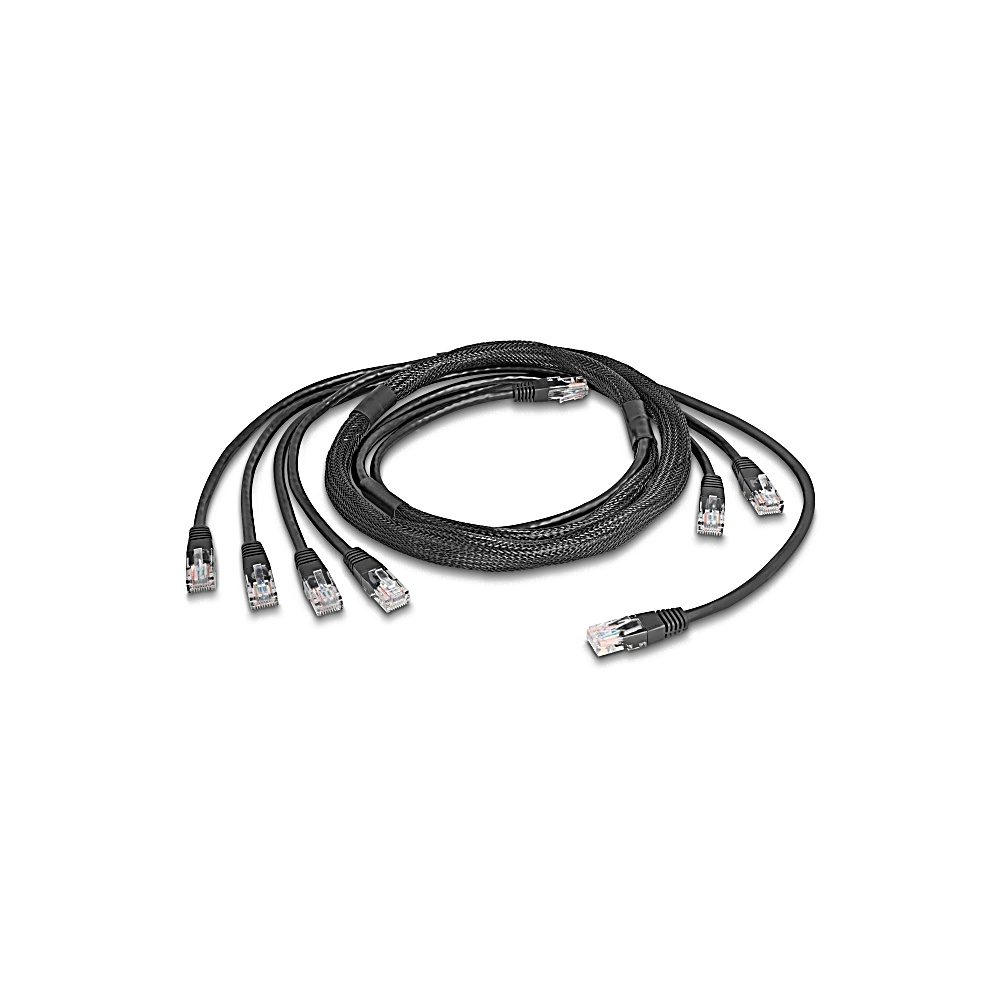 Un fascio di cavi di rete neri con connettori RJ45. I cavi sono arrotolati e stesi. Sfondo bianco.