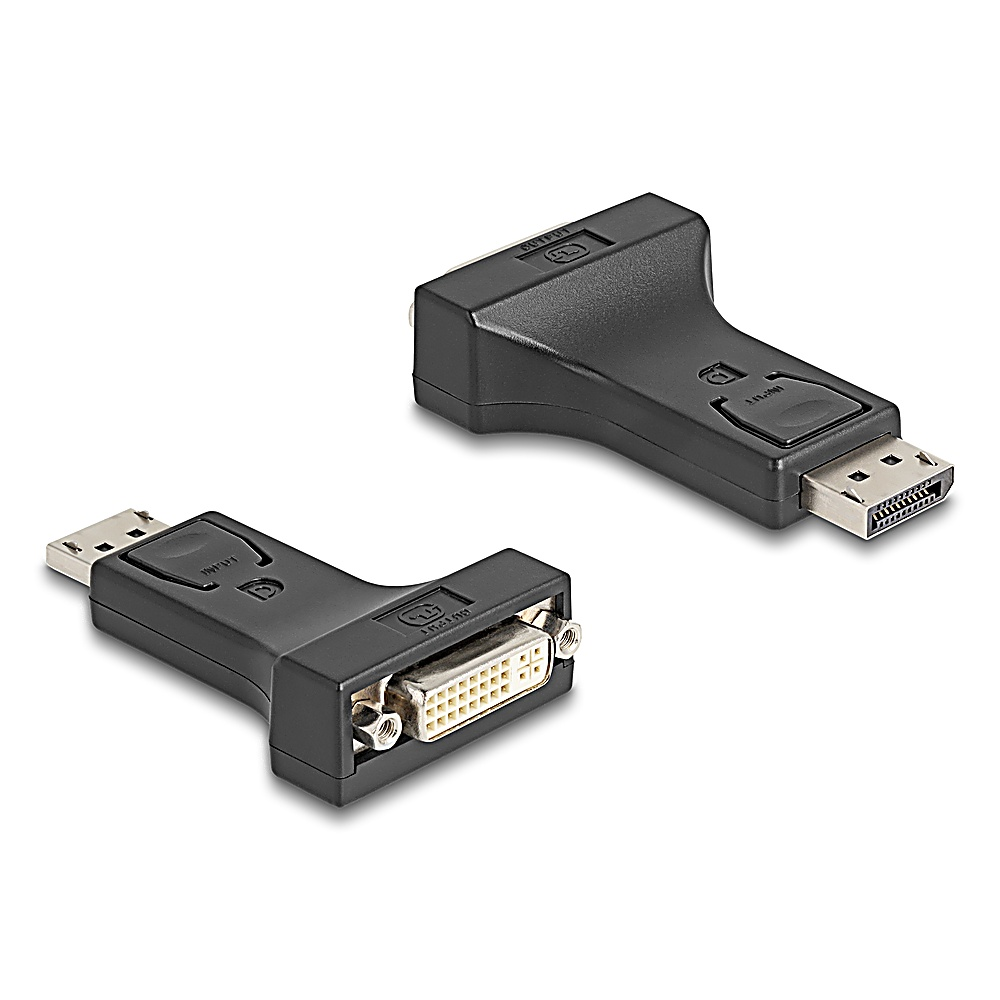 Due adattatori video neri. Uno con connettore DisplayPort, l'altro con connettore DVI. Entrambi hanno un logo e sono su sfondo bianco.