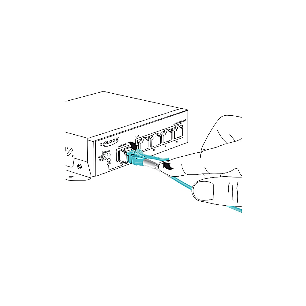 Una mano sta collegando un cavo blu a uno switch di rete. Lo switch è etichettato Delock e ha diverse porte.