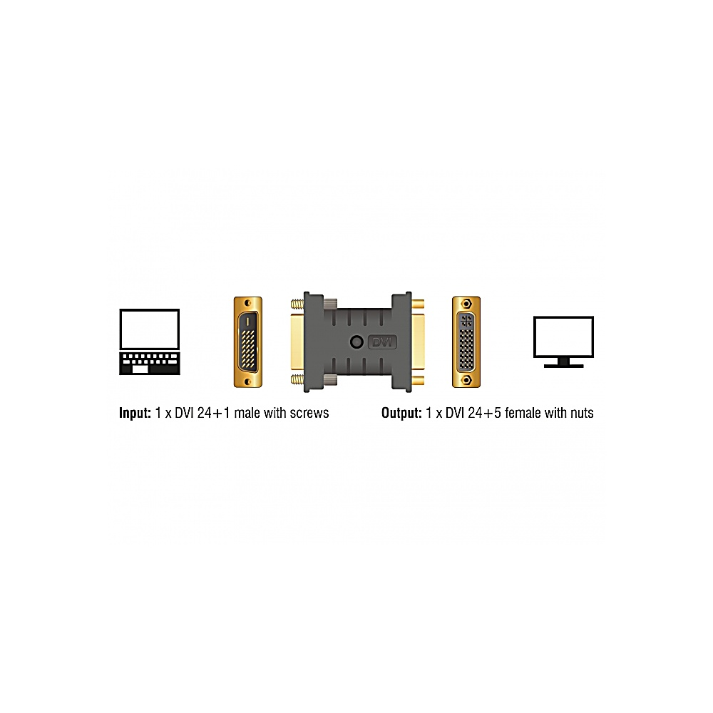 Schema di un adattatore DVI con connettori maschio e femmina, accanto alle icone del laptop e del monitor.