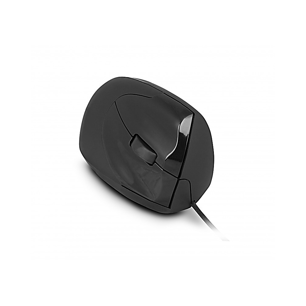 Un ratón de computadora negro con conexión por cable, sobre un fondo blanco. Tiene un acabado brillante y una rueda de desplazamiento.
