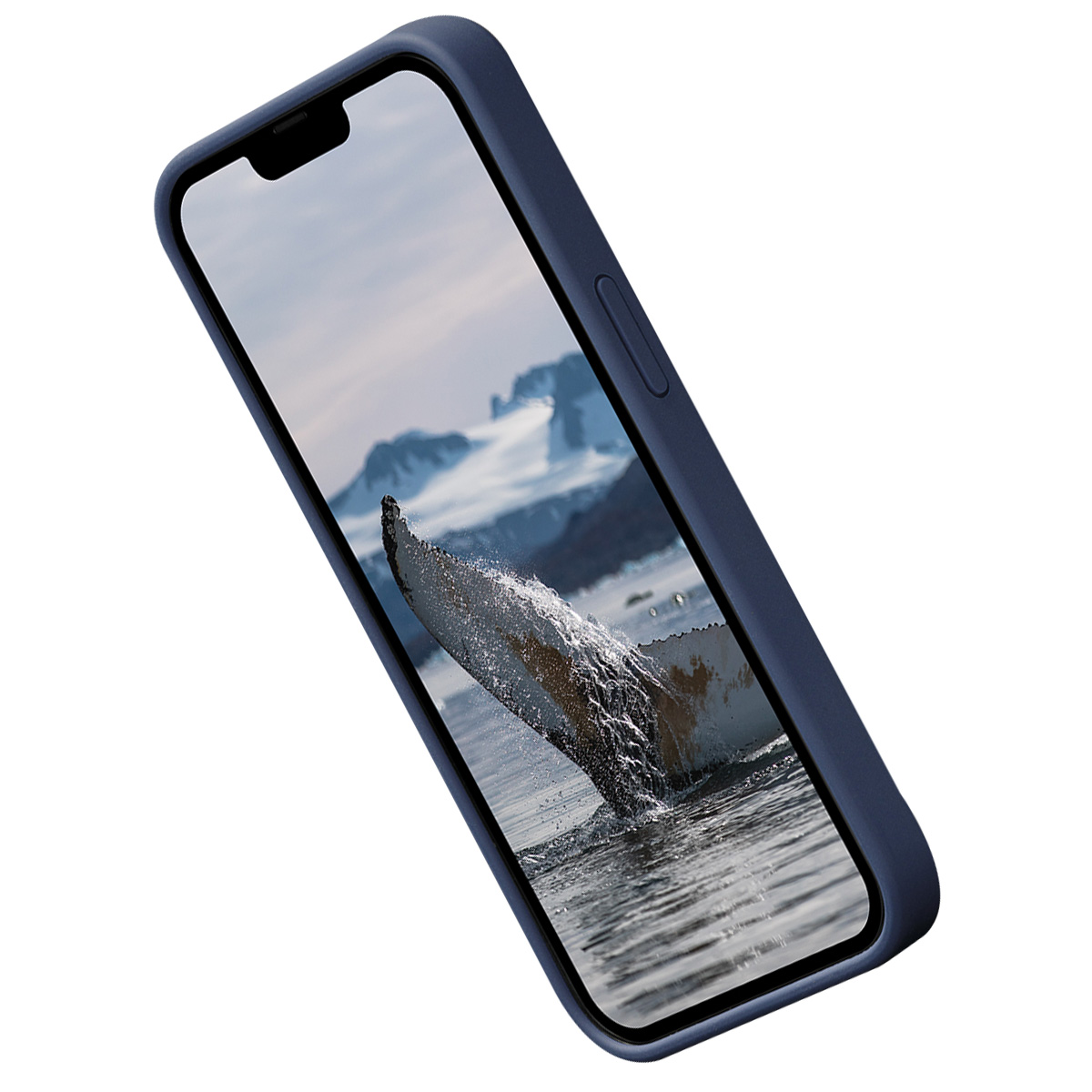Uno smartphone mostra la coda di una balena che rompe l'acqua. Il telefono è in una custodia blu, angolato, con sfondo bianco.