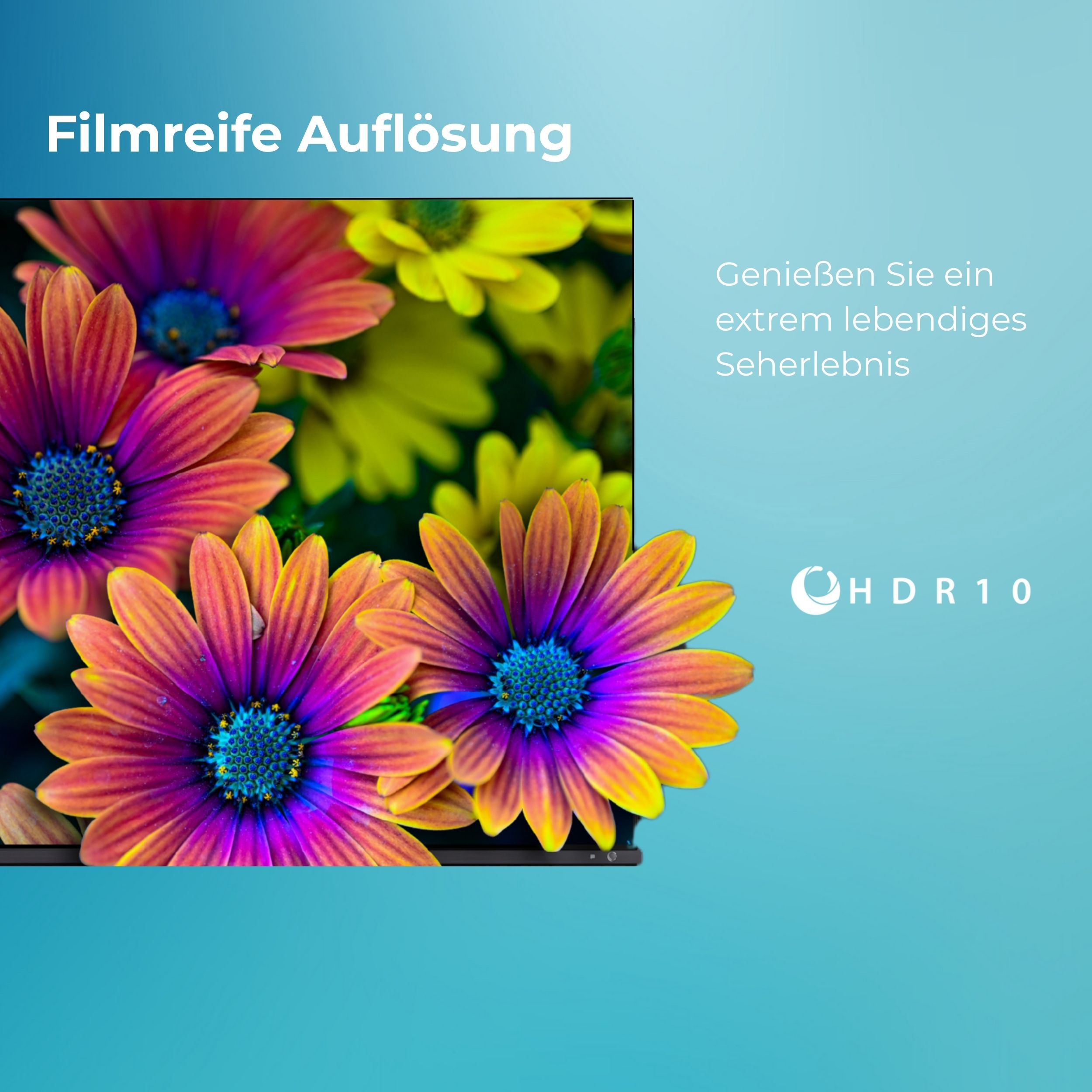 Nahaufnahme von bunten Blumen mit lila und orangefarbenen Blütenblättern. Text auf Deutsch und blauer Hintergrund.