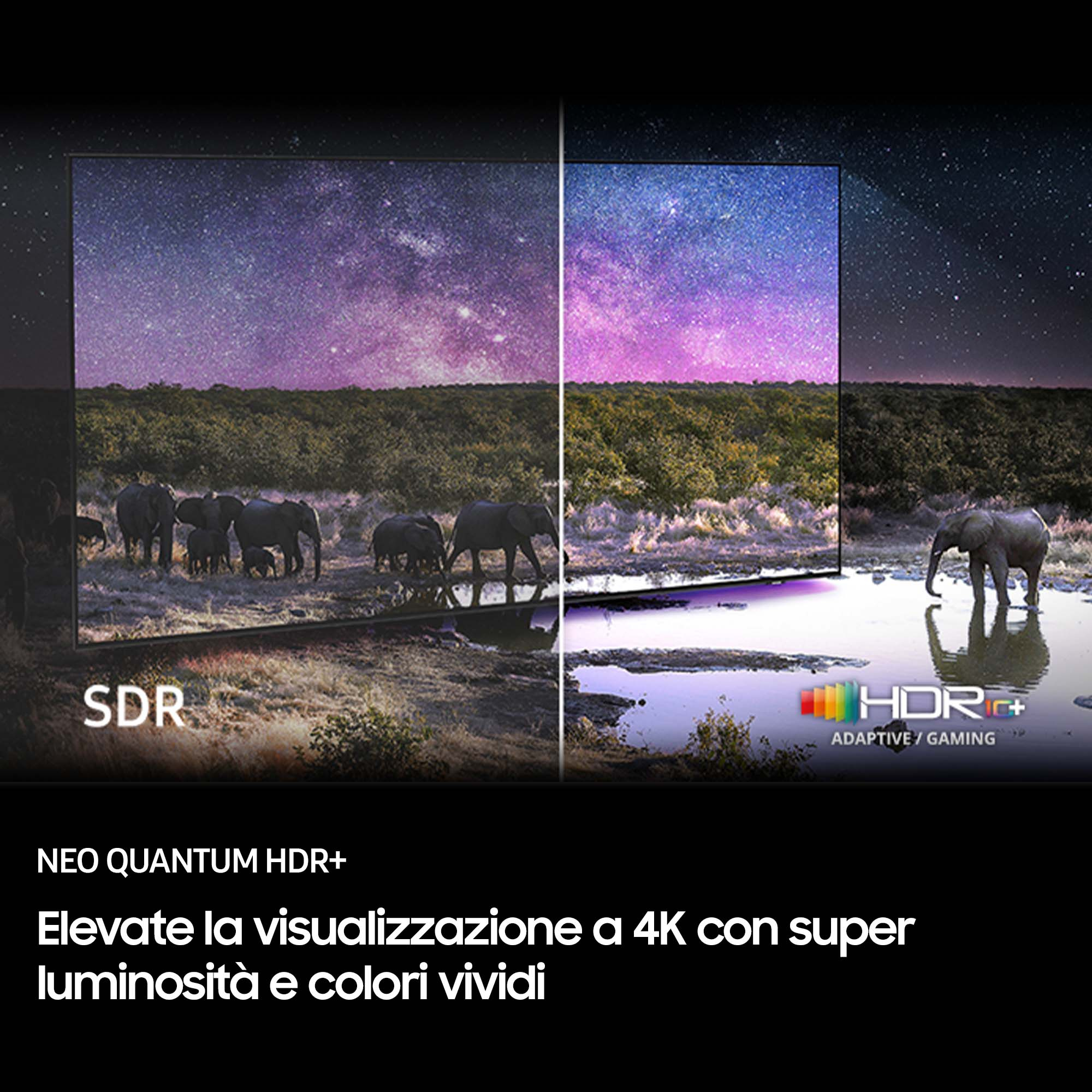 L'immagine mostra uno schermo diviso. Un lato, SDR, mostra elefanti. L'altro, HDR+, mostra una scena simile.