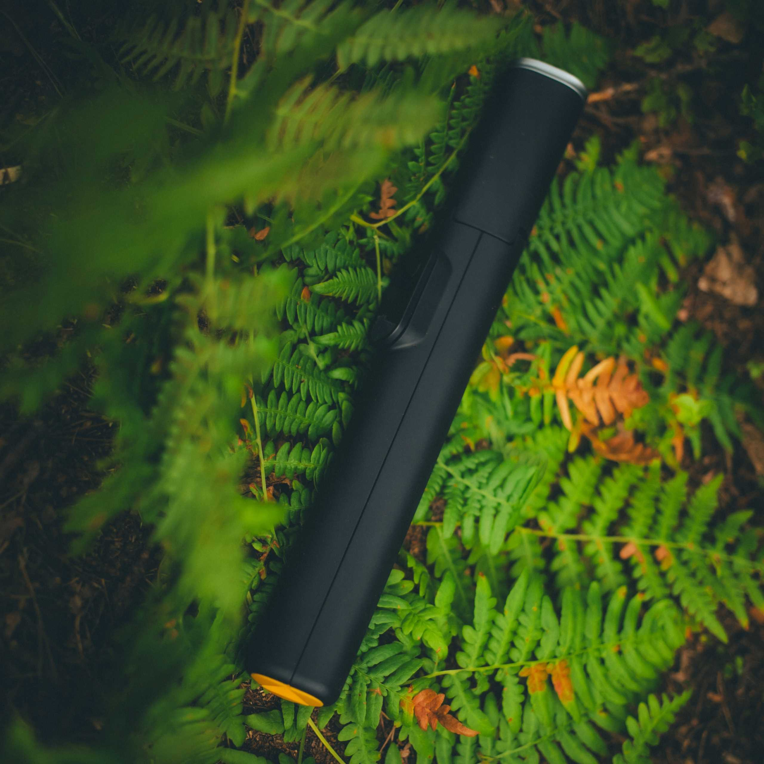 Czarny cylindryczny przedmiot na zielonych paprociach. Obiekt ma srebrny wierzch i pomarańczowe dno. Tło jest brązowe.
