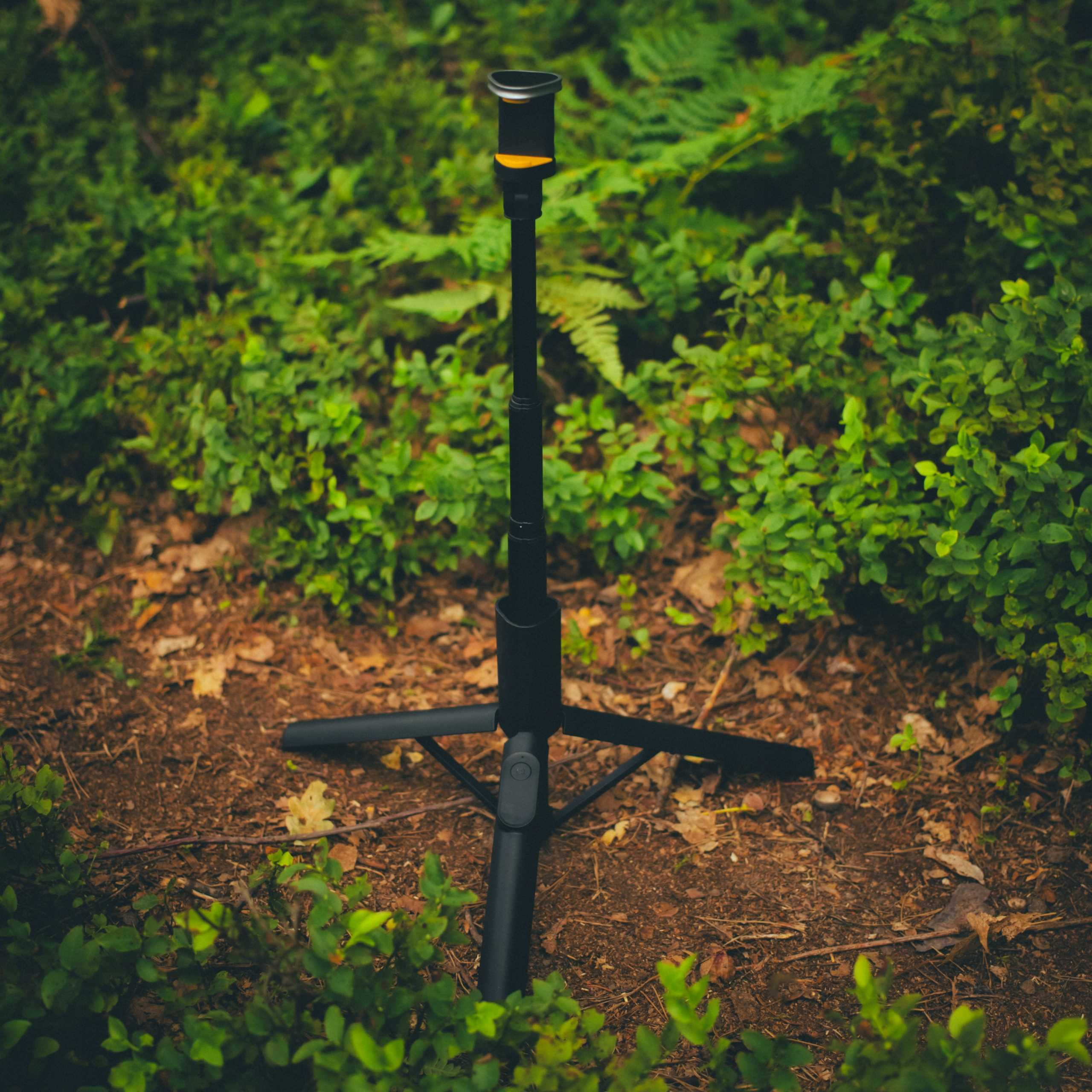 Czarny statyw z uchwytem na telefon stoi w lesie. Otaczają go zielone krzewy i brązowe liście.