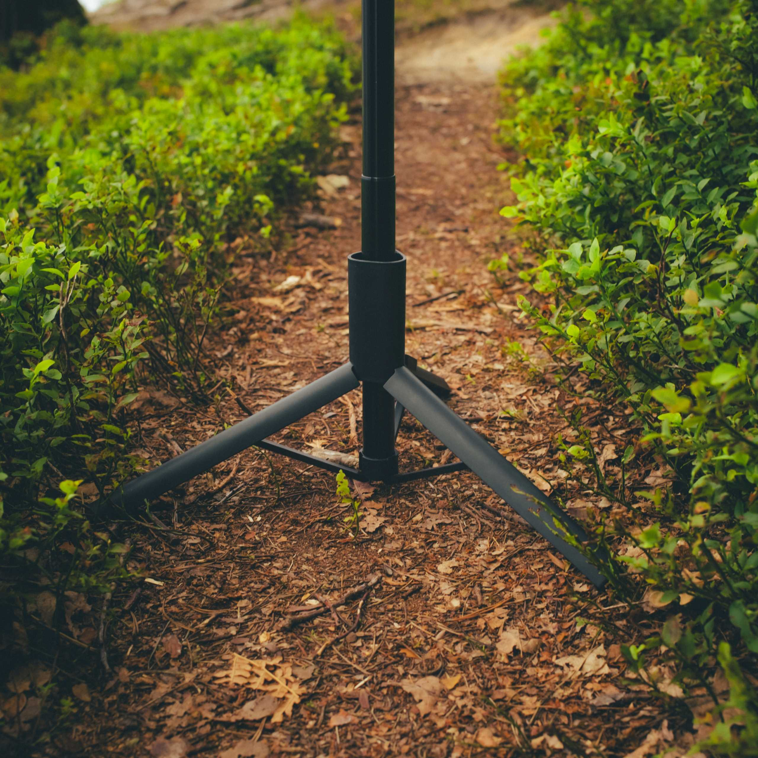 Czarny statyw stoi na leśnej ścieżce, otoczony zielonymi krzewami i brązowymi liśćmi.