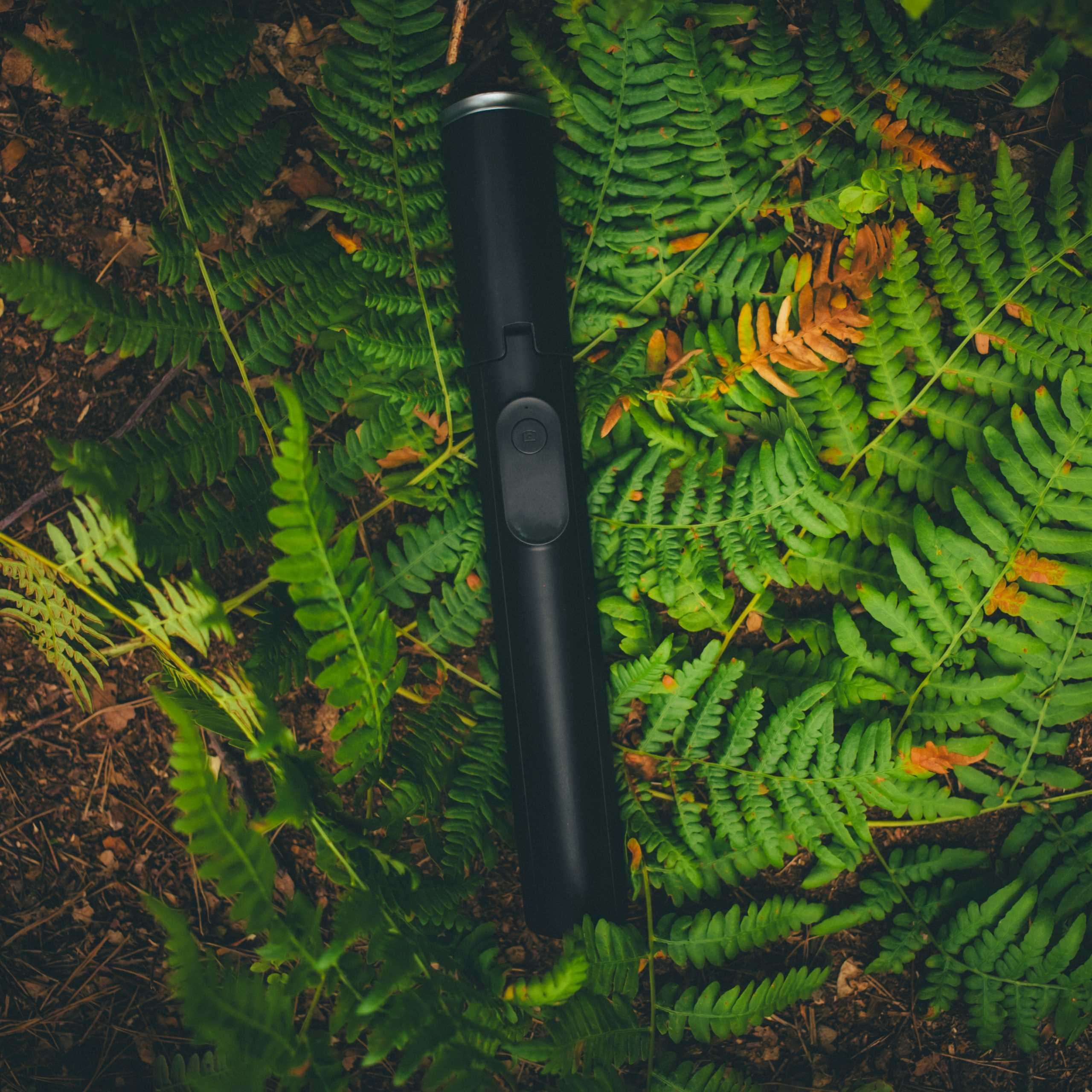 Czarny kij do selfie leży na posłaniu z zielonych paproci i brązowej leśnej gleby.
