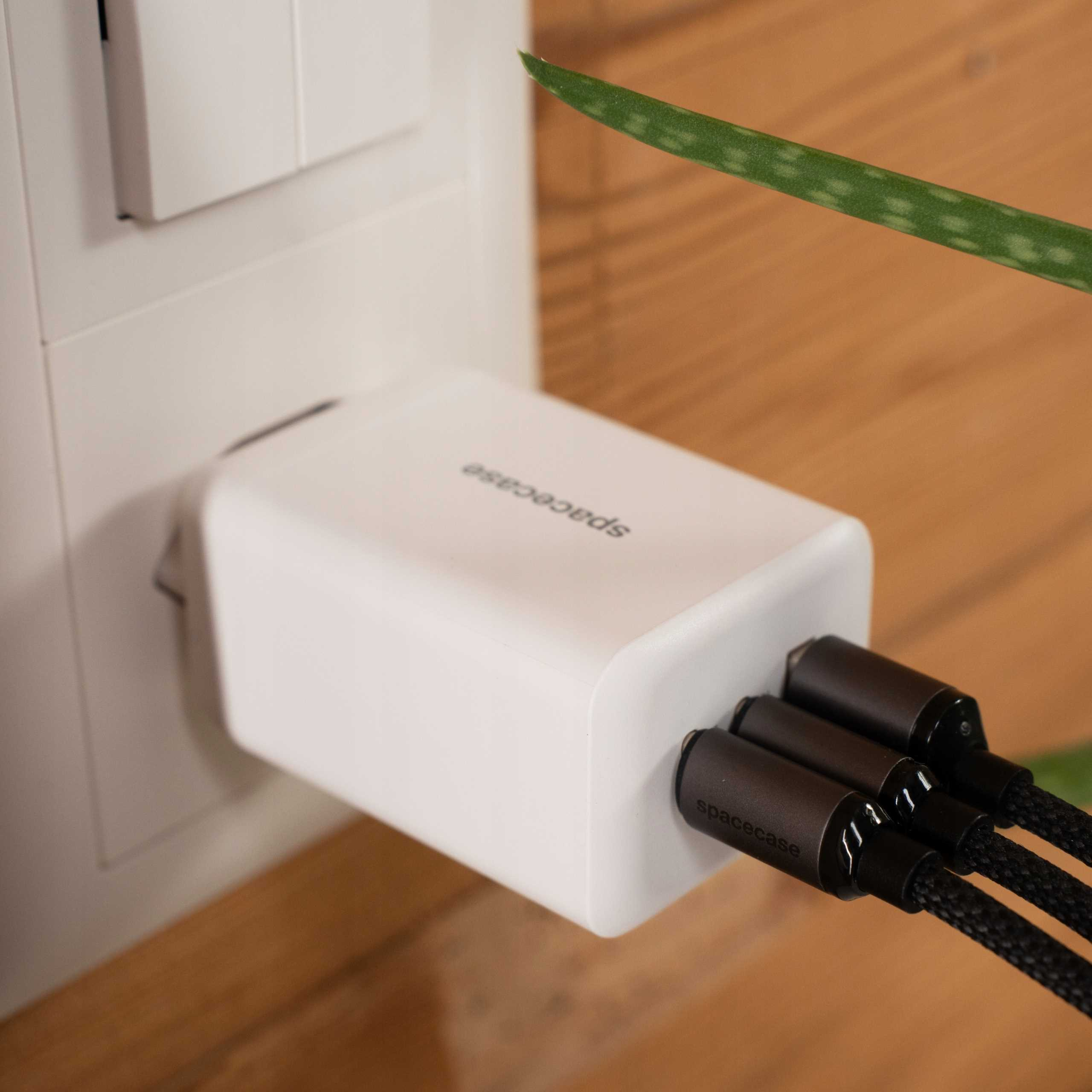 Biała ładowarka z trzema czarnymi kablami wpiętymi w ścianę. Po prawej stronie zielony liść rośliny.