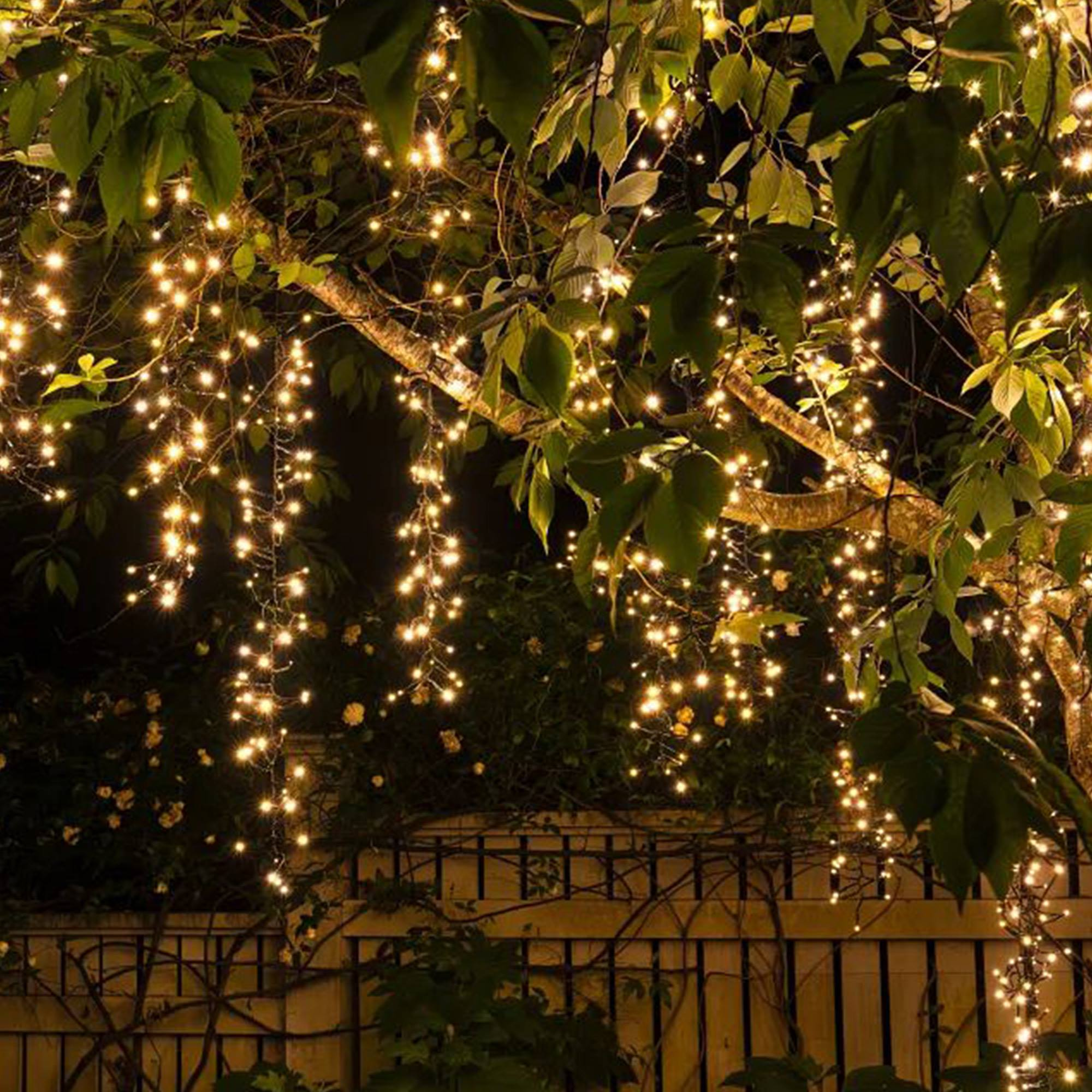 Un árbol con luces de cadena. Hojas verdes y una valla de madera al fondo. Luces cálidas brillan.