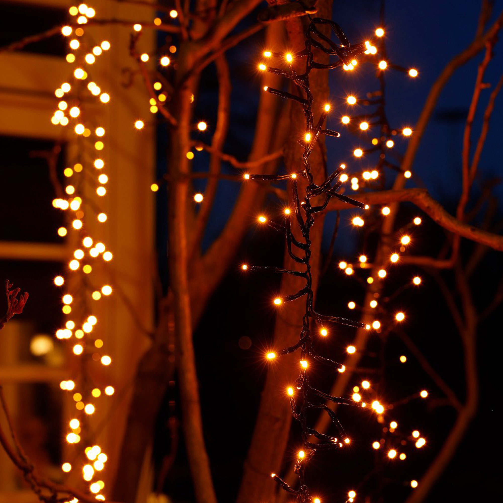 Luces de cadena con luces amarillas cálidas adornan un árbol, con una casa al fondo, cielo azul oscuro.