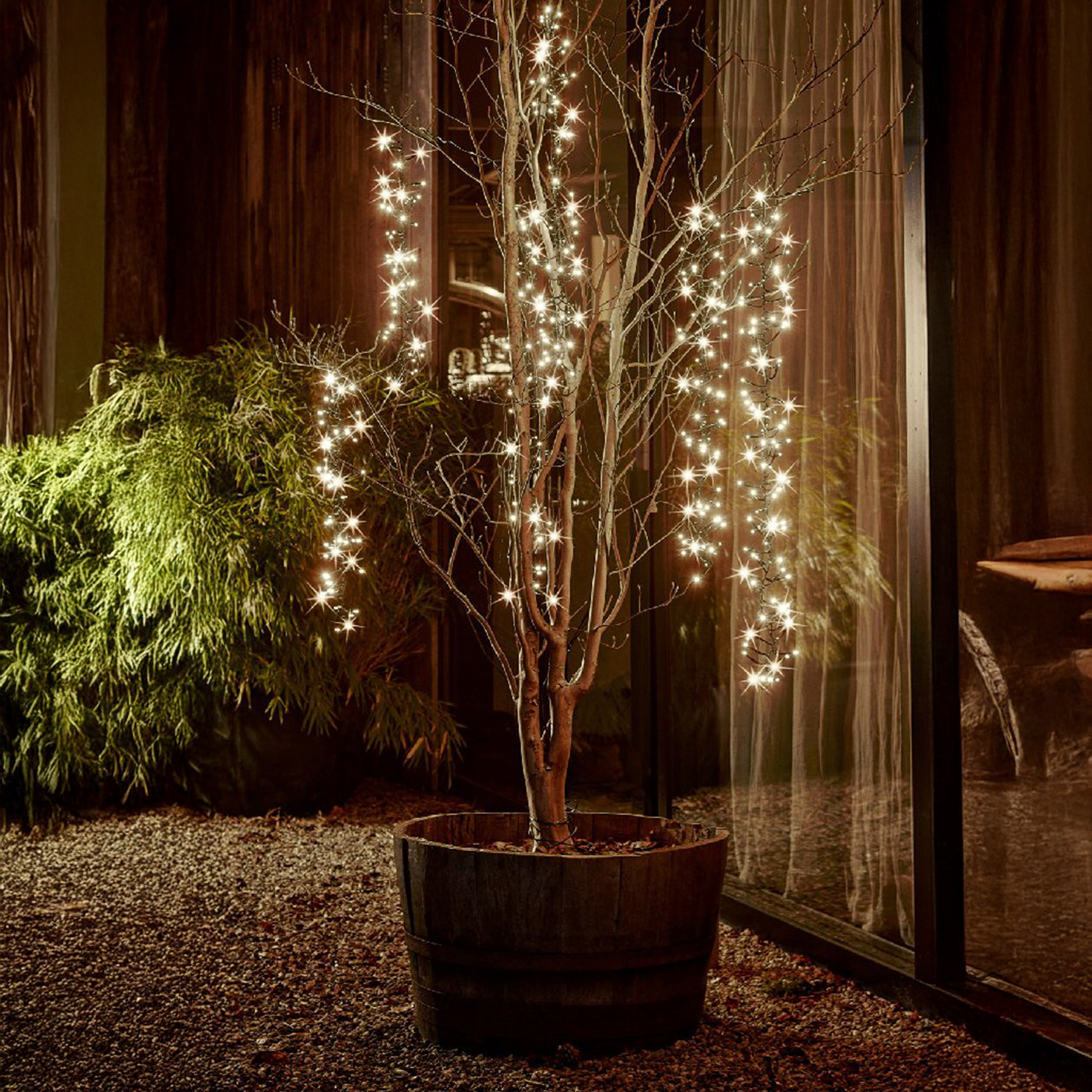 Un árbol en una maceta de madera está decorado con luces de hadas. Arbusto verde a la izquierda. Fondo oscuro con puerta de vidrio.