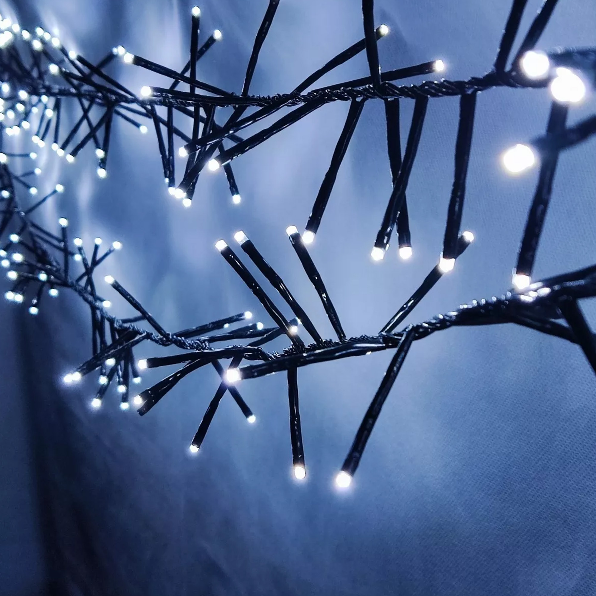 Primer plano de luces de cadena. Tallos negros con luces blancas sobre un fondo azul borroso.