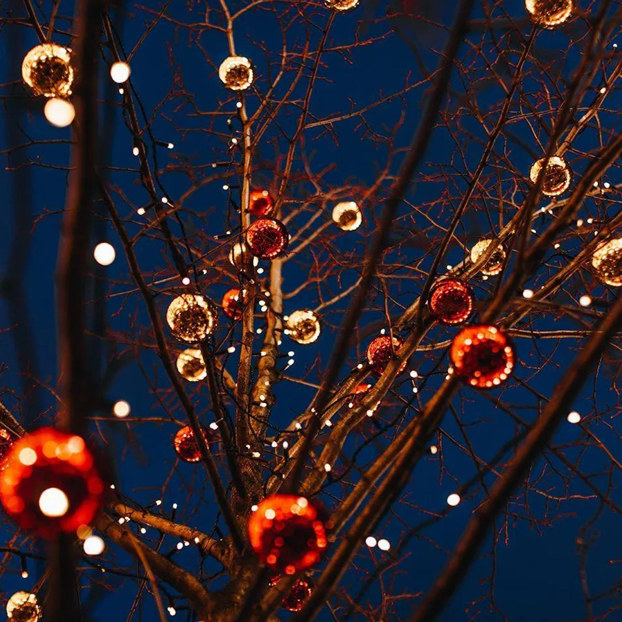 Ramas con adornos navideños rojos y dorados y pequeñas luces blancas sobre un cielo azul oscuro.