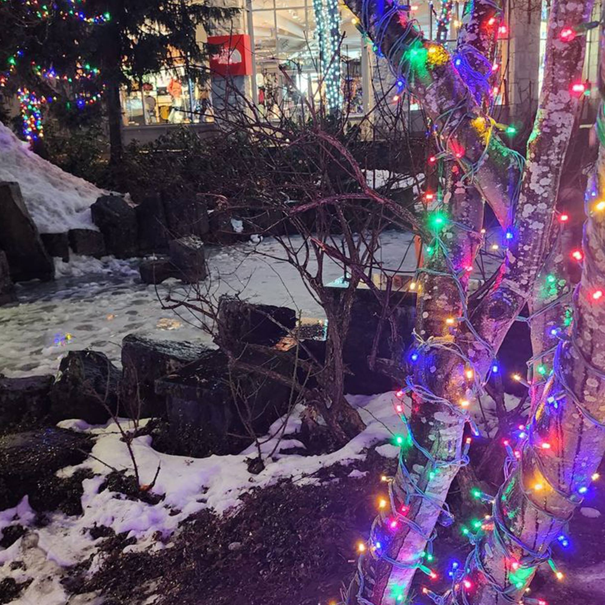 Árboles decorados con luces de colores cerca de un arroyo nevado. Un edificio al fondo.