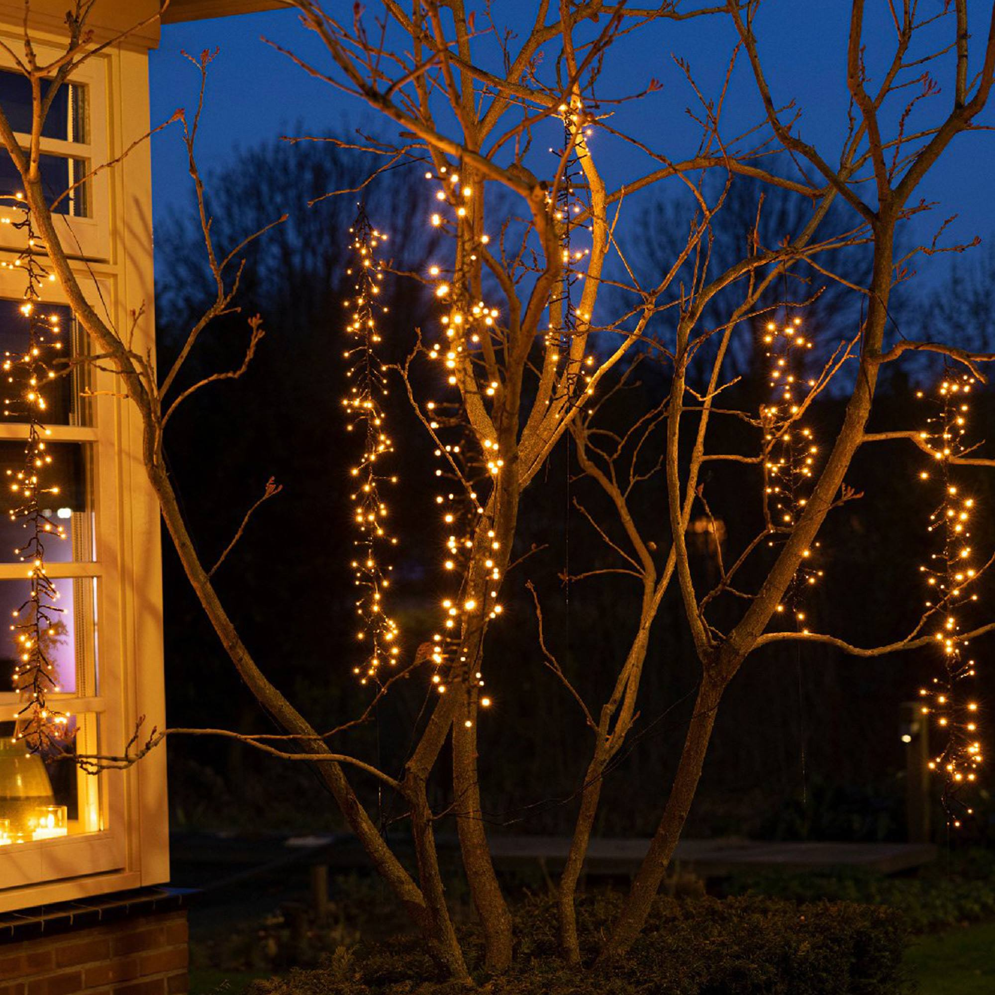 Un árbol decorado con luces de cadena blanco cálido. Una ventana está a la izquierda. El cielo es azul oscuro.