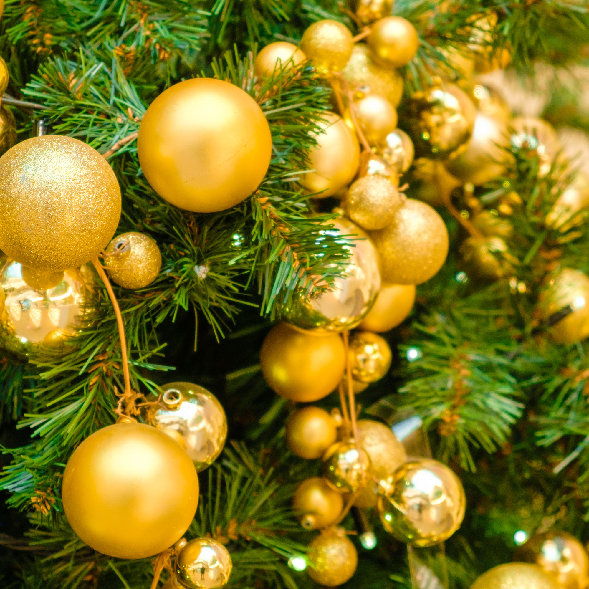 Primer plano de un árbol de Navidad con adornos dorados. Se ven agujas verdes y varias bolas doradas de diferentes tamaños.