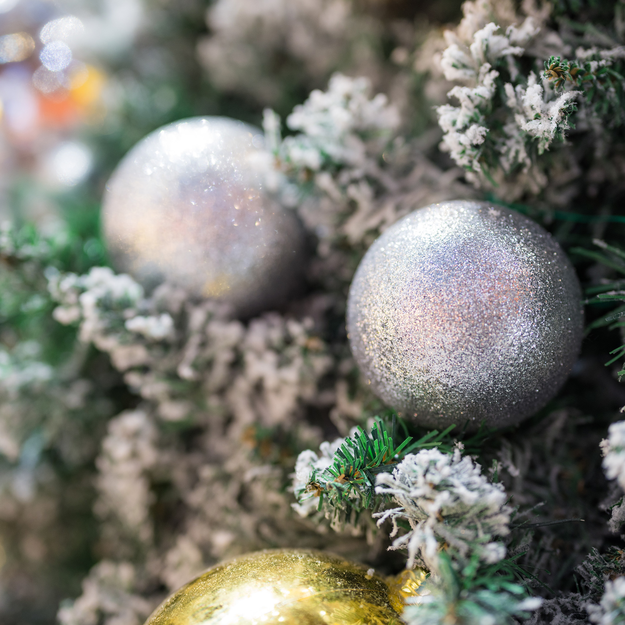 Primer plano de un árbol de Navidad con adornos plateados y dorados. Las ramas están cubiertas de nieve blanca.
